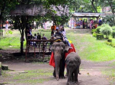 1. Grojogan Sewu Tawangmangu, 2. Pandawa Water World Solo Baru, 3. Taman Balekambang, 4. Keraton Surakarta, 5. Wisata Tugu Lilin di Solo , 6. Air Terjun Jumog, 7. Taman Sriwedari, 8. Kampoeng Batik Kauman, 9. Pasar Klewer, 10. Tempat Wisata di Solo – Museum Manusia Purba Sangiran, 11. Tempat Wisata di Solo – Pura Mangkunegaran, 12. Monumen Pers, 13. Galabo Solo, 14. Tempat Wisata di Solo – Kebun Binatang Taru Jurug, 15. Ngarsopuro Night Market Solo, 16. Alun-Alun Kidul Surakarta, 17. Tempat Wisata di Solo – Dalem Kalitan, 18. Tempat Wisata di Solo – Taman Cerdas, 19. Masjid Al-Wustho Mangkunegaran, 20. Bendungan Karet Tirtonadi, 21. The Heritage Palace, 22. Lokananta Recording Audio &amp; Video Cassette, 23. Trans Studio Mini Solo, 24. Museum Batik Danar Hadi, 25. Loji Gandrung, 26. Museum Radya Pustaka, 27. Pasar Antik Triwindu, 28. Benteng Vastenburg Fort, 29. Agrowisata Amanah, Karanganyar, 30. Agrowisata Sondokoro, Karanganyar, 31. Bukit Hope, Karanganyar (Tutup), 32. Bumi Perkemahan Sekipan, Karanganyar, 33. Candi Cetho, Karanganyar, 34. Candi Sukuh, Karanganyar, 35. Edupark Intan Pari, Karanganyar, 36. Kebun Strawberry, Karanganyar, 37. Paralayang Segoro Gunung, Karanganyar, 38. Rumah Pohon Banyu Anyep (Tutup), 39. Taman Bintang Kemuning, Ngargoyoso, Karanganyar, 40. Telaga Madirda, Karanganyar, 41. Bukit Cumbri, Wonogiri, 42. Gantole Wonogiri, 43. Batu Seribu, Sukoharjo, 44. Bendungan Colo, Sukoharjo, 45. Gardu Pandang Bukit Batur Suroteleng, 46. Bukit Gancik, 47. Tretes Taman Tani (Tutup), 48. De Tjolomadoe, 49. Rumah Atsiri Indonesia, 50. Pantai Karang Payung, 51. Tumurun Private Museum, 52. River Moon Pusur, 53. Museum R Hamong Wardoyo, 54. Sepur Kluthuk Jaladara, 55. Koridor Singosaren, 56. Ndalem Gondosuli, 57. Grojogan Selondo, 58. Taman Hutan Rakyat Ngargoyoso, 59. Candi Plaosan, 60. Umbul Ponggok, 61. Umbul Cokro Tulung, 62. Omah Jungkir, 63. Telaga Biru, 64. Randubang, 65. Pasar Gede Hardjonagoro, 66. Solo Grand Mall, 67. Pusat Grosir Solo, 68. Taman Bunga Bono, Klaten, 69. Umbul Kapilaler, Klaten, 70. Bukit Gancik, Selo, Boyolali, 71. Lembah Gunung Madu, Boyolali, 72. Objek Wisata Tlatar, Boyolali, 73. Obyek Wisata Air Cokro, 74. Museum Samanhudi, 75. Air Terjun Parang Ijo, 76. Museum Keris, 77. Vihara Dhamma Sundara