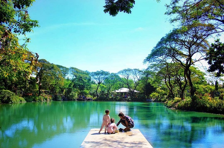 Kebun Bibit Wonorejo via Sewa Bus Surabaya, 1. Wisata Monumen Pahlawan, 2. Wisata patung Buddha dengan Empat Wajah , 3. Wisata Jembatan Merah , 4. Wisata Monumen Kapal Selam di Surabaya, 5. Taman Harmoni Keputih, 6. Wisata Museum WR. Soepratman , 7. Wisata Kelenteng Hong Tiek Hian, 8. Wisata Jembatan Suramadu, 9. Wisata Rumah Batik, 10. Wisata Monumen Bambu Runcing , 11. Wisata Ciputra Waterpark (Tutup), 12. Wisata Kebun Binatang Surabaya , 13. Wisata Hutan Mangrove Wonorejo, 14. Wisata Pantai Kenjeran, 15. Wisata Pasar Bunga Bratang , 16. Wisata Masjid Nasional Al-Akbar di Surabaya, 17. Wisata Gereja Perawan Maria Tak Berdosa , 18. Wisata Taman Bungkul , 19. Wisata Taman Apsari , 20. Taman Dr. Soetomo (Taman Korea) , 21. Wisata Taman Mayangkara di Surabaya, 22. Wisata Taman Pelangi , 23. Wisata Taman Mundu , 24. Taman Buah Undaan di Surabaya, 25. Wisata Taman Prestasi di Surabaya, 26. Wisata House of Sampoerna , 27. Surabaya North Quay, 28. Taman Gantung Surabaya, 29. Monumen Suroboyo – Suroboyo Park, 30. Jembatan Biru Kenjeran Surabaya, 31. Food Junction Grand Pakuwon, 32. Skate & BMX Surabaya, 33. Waterpark Kenjeran – Ria Beach Kenjeran, 34. Arca Joko Dolog Surabaya, 35. Monumen Patung Gubernur Suryo, 36. Masjid Ampel Surabaya, 37. Perpustakaan Bank Indonesia, 38. Kebun Bibit Wonorejo, 39. Museum Kesehatan Dr. Adhyatma, 40. Jalan Kembang Jepun, 41. THR (Taman Hiburan Rakyat), 42. Masjid Muhammad Cheng Hoo, 43. Kebun Bibit Ngagel Jaya (Kebun Bibit Wonorejo 2), 44. Museum Surabaya (Gedung Siola), 45. Monumen Jalesveva Jayamahe, 45. Taman Kenjeran Surabaya, 46. Jalan Tunjungan Surabaya, 47. Kampung Bulak Surabaya, 48. Gereja Kepanjen, Surabaya, 49. Klenteng Sanggar Agung, 50. Taman Sakura Keputih, 51. Suroboyo Carnival Park (Tutup), 52. G Walk Surabaya, 53. Hutan Bambu Keputih, 54. De Mata Trick Eye Museum (Tutup), 55. Kebun Bibit Surabaya, 56. Taman Pertanian Terpadu Balas Klumprik, 57. Kota Tua Surabaya, 58. Taman Cahaya, 59. Surya Park