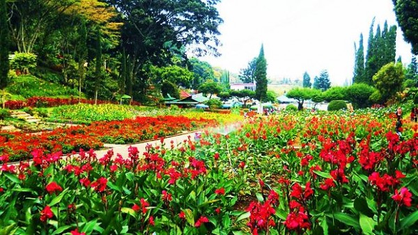 Kebun Bunga Cihideung di Bandung Utara, 1. Gunung Tangkuban Perahu, 2. Trans Studio Bandung, 3. Wisata Kawah Putih Ciwidey, 4. Curug Dago di Bandung, 5. Wisata Belanja Pasar Baru di Bandung, 6. Wisata Edukasi Observatorium Bosscha di Bandung, 7. Wisata Alam Danau Situ Patenggang di Bandung, 8. Wisata Air Panas Ciater, 9. Wisata Kampung Gajah di Bandung (Tutup Permanen), 10. Tempat Wisata Kebun Binatang di Bandung, 11. Wisata Rumah Mode Bandung, 12. Wisata Seni Saung Angklung Udjo Di Bandung, 13. Wisata Edukasi Museum Geologi Bandung, 14. Paskal Food Market, 15. Rumah Strawberry Ciwidey, 16. Cihampelas Walk, 17. Museum Konferensi Asia Afrika, 18. Museum Sri Baduga Bandung, 19. Taman Lalu Lintas Ade Irma Suryani, 20. Kolam Renang Karang Setra, 21. Taman Wisata Alam Maribaya, 22. Kawasan Punclut Bandung Utara, 23. Kebun Bunga Cihideung, 24. Tempat Wisata De’Ranch, 25. Wisata Kuliner Floating Market, 26. Perkebunan Teh Rancabali, 27. Wisata Air Panas Ciwalini, 28. Wisata Bumi Perkemahan Ranca Upas, 29. Little Seoul Bandung, 30. Dusun Bambu Lembang, 31. Taman Hutan Raya Ir Djuanda, 32. Curug Upas, 33. Ciwidey Valley Resort, 34. Sendang Kahuripan, 35. Situ Cileunca, 36. Taman Balai Kota, 37. Gunung Puntang, 38. Stone Garden, 39. Chinatown Bandung, 40. Bird Pavilion, 41. Curug Malela, 42. Tebing Keraton, 43. Puncak Bintang, 44. Amazing Art World, 45. Street Gourmet, 46. Curug Cimahi, 47. Tafso Barn, 48. Sanghyang Heuleut, 49. The Great Asia Afrika, 50. Tebing Citatah, 51. Jalan Braga, 52. D’Dieuland, 53. Jembatan Kereta Api Cikudapateuh Ciwidey, 54. Upside Down World Bandung, 55. Orchid Forest Cikole, 56. Kebun Teh Sukawana, 57. Kampoeng Tulip, 58. Kampung Pasir Ipis, 59. Kebun Bunga Begonia, 60. Wisata Grafika Cikole, 61. Pine Forest Camp Lembang, 62. The Lodge Maribaya, 63. Farm House Susu Lembang, 64. Glamping Lakeside, 65. Curug Keraton Cibodas, 66. Curug Layung Lembang, 67. Curug Tilu Leuwi Opat, 68. Jendela Alam, 69. Ciwangun Indah Camp (CIC) Lembang, 70. Taman Miniatur Kereta Api, 71. Lereng Anteng Panoramic Coffee, 72. Gunung Putri Lembang, 73. Kawasan Berkuda Ganesha H Equestrian, 74. Bukit Labyrinth Ganesha H Equestrian, 75. Bukit Pangjebolan Lembang, 76. Argowisata Kawah Rengganis, 77. Pemandian Air Panas Ciwalini, 78. Curug Cipanji Bandung, 79. Wisata Air Curug Tilu, 80. Bukit Jamur Rancabolang Ciwidey, 81. Barusen Hills, 82. Kampung Cai Rancaupas, 83. Bumi Perkemahan Ranca Cangkuang, 84. Cimanggu Hot Spring & Cottage, 85. Taman Kelinci Ciwidey, 86. Danau eMTe Highland Resort, 87. Green Hill Park TWA Cimanggu
