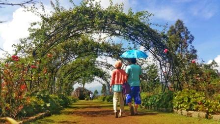 1. Wisata Gunung Papandayan , 2. Wisata Gunung Cikuray , 3. Wisata Gunung Guntur , 4. Tempat Wisata Situ Bagendit di Garut , 5. Wisata Situ dan Candi Cangkuang , 6. Wisata Pemandian Air Panas Cipanas, 7. Wisata Pemandian Air Panas Darajat , 8. Wisata Kawah Putih Talaga Bodas , 9. Wisata Arung Jeram Sungai Cimanuk , 10. Wisata Tebing Alam Batu Tumpang , 11. Wisata Pantai Santolo , 12. Wisata Pantai Sayang Heulang , 13. Wisata Pantai Rancabuaya , 14. Tempat Wisata Taman Satwa Cikembulan di Garut , 15. Wisata Curug Citiis , 16. Wisata Curug Orok , 17. Pantai Puncak Guha di Garut, 18. Wisata Pantai Cijeruk Indah, 19. Wisata Pantai Karang Paranje, 20. Kampung Sampireun, 21. Sabda Alam Cipanas, 22. Kawah Darajat Garut, 23. Curug Cimandi Racun, 24. Curug Sang Hyang Taraje, 25.  Kebun Mawar Situhapa Garut, 26. Kawah Kamojang, 27. Pantai Cicalobak, 28. Pantai Taman Manalusu, 29. Perkebunan Teh Dayeuh Manggung, 30. Kolam Air Panas Cikarees, 31. Bukit Pilar Angin, 32. Leuweung Oko D’Great, 33. Leuwi Tonjong, 34. Bukit Palahlar, 35. Bukit Nangklak, 36. Pusat Konservasi Elang Kamojang, 37. Curug Cikawung, 38. Curug Cibadak, 39. Batu Patapaan, 40. Gunung Piramida Sadahurip, 41. Curug Nyogong, 42. Leuwi Korsi, 43. Leuwi Jurig, 44. Leuwi Jubleg, 45. Bukit Teletubbies Pasir Pogor, 46. Karacak Valley, 47. Cilopang Adventure Camp, 48. Papandayan Leisure Park, 49. River Tubing Cikaengan, 50. Curug Batu Nyusun, 51. Curug Ciarjuna, 52. Hutan Mati Gunung Papandayan