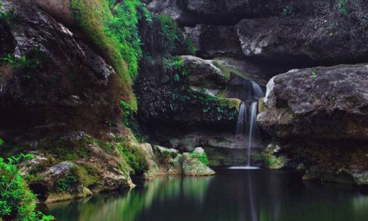 Kedung Entong via IG @byarung, 1. Kampung Coklat, 2. Taman Kebon Rojo, 3. Pantai Tambakrejo, 4. Pantai Pangi, 5. Perkebunan Teh Sirah Kencong, 6. Pantai Serang, 7. Blitar Park, 8. Petilasan Rambut Monte, 9. Candi Penataran, 10. Pantai Peh Pulo, 11. Goa Embultuk, 12. Candi Gambar Wetan, 13. Situs Arca Warak, 14. Candi Kotes, 15. Candi Sawentar, 16. Makam Bung Karno, 17. Istana Gebang, 18. Water Park Sumberudel, 19. Desa Wisata Semen, 20. Wisata Sejarah Monumen Trisula, 21. Penangkaran Rusa Maliran, 22. Agrowisata Karangsari Blitar, 23. Gunung Butak, 24. Pantai Gondo Mayit, 25. Air Terjun Coban Wilis, 26. Air Terjun Sirah Kencong, 27. Air Terjun Grenjeng, 28. Air Terjun Jurug Bening , 29. Objek Wisata Alam Pacuh, 30. Pantai Umbul Waru, 31. Curug dan Kedung Badrun, 32. Air Terjun Lawean, 33. Pantai Jolosutro, 34. Arung Jeram Soko Adventure Blitar, 35. Goa Maria Sendang Rejo, 36. Gardu Pandang Perkebunan Gambar, 37. Omah Djadoel, 38. Gunung Kelud, 39. Air Terjun Kedung Entong, 40.  Air Terjun Tirto Galuh, 41. Taman Jurug Goa Luweng Prodo, 42. Bukit Teletubies Blitar, 43. Hutan Pinus Gogoniti, 44. Kampung Afrika Blitar, 45. Gunung Butak, 46. Pantai Pasur, 47. Pantai Serit, 48. Monumen PETA, 49. Wisata Alam Paco, 50. Bendungan Serut, 51. Arca Gamprang, 52. Candi Simping, 53. Jurug Moncar, 54. Candi Mleri, 55. Candi Kalicilik, 56. Alun-alun Blitar, 57. Blitar Green Park, 58. Taman Pecut, 59. Fish Garden Blitar, 60. Kaloka Lodoyo, 61. Pemandian Sumur Amber Kandangan, 62. Bendungan Wlingi Raya, 63. Taman Idaman Hati Wlingi Blitar, 64. Villa Puncak Pesanggrahan Tambakrejo