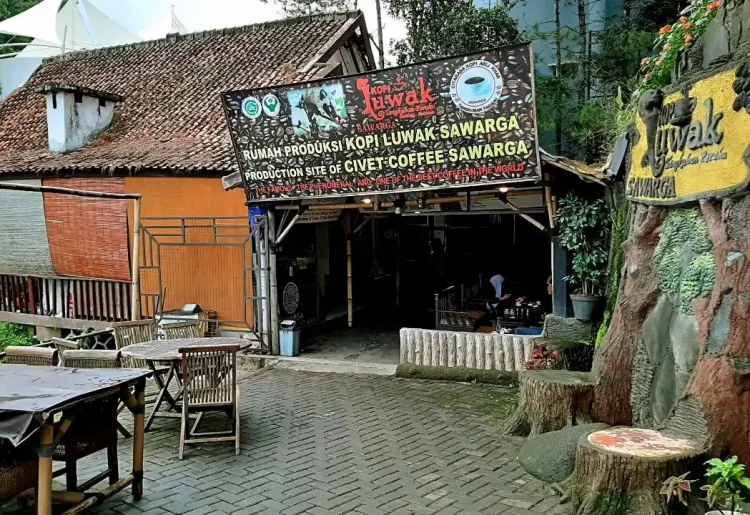Kopi Luwak Cikole, Informasi Dasar, Daya Tarik Lembang, Tempat Wisata di Lembang Bandung, Tempat Wisata di Lembang yang Sudah Tutup, Aktivitas Seru yang Wajib Dilakukan di Lembang, Akses Menuju Lembang
