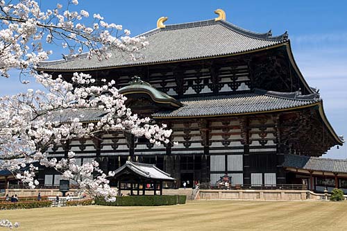 Kyoto dan Nara vKyoto dan Nara via Indojapaneseia Indojapanese, Tempat Wisata di Jepang yang Wajib Dikunjungi, Tempat Wisata di Jepang lainnya, Tempat Wisata di Hiroshima, Tempat Wisata di Osaka Jepang