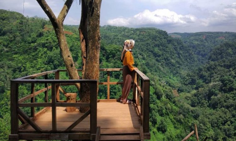 Leuweung Oko D’Great via IG @tammy_ayu, 1. Wisata Gunung Papandayan , 2. Wisata Gunung Cikuray , 3. Wisata Gunung Guntur , 4. Tempat Wisata Situ Bagendit di Garut , 5. Wisata Situ dan Candi Cangkuang , 6. Wisata Pemandian Air Panas Cipanas, 7. Wisata Pemandian Air Panas Darajat , 8. Wisata Kawah Putih Talaga Bodas , 9. Wisata Arung Jeram Sungai Cimanuk , 10. Wisata Tebing Alam Batu Tumpang , 11. Wisata Pantai Santolo , 12. Wisata Pantai Sayang Heulang , 13. Wisata Pantai Rancabuaya , 14. Tempat Wisata Taman Satwa Cikembulan di Garut , 15. Wisata Curug Citiis , 16. Wisata Curug Orok , 17. Pantai Puncak Guha di Garut, 18. Wisata Pantai Cijeruk Indah, 19. Wisata Pantai Karang Paranje, 20. Kampung Sampireun, 21. Sabda Alam Cipanas, 22. Kawah Darajat Garut, 23. Curug Cimandi Racun, 24. Curug Sang Hyang Taraje, 25. Kebun Mawar Situhapa Garut, 26. Kawah Kamojang, 27. Pantai Cicalobak, 28. Pantai Taman Manalusu, 29. Perkebunan Teh Dayeuh Manggung, 30. Kolam Air Panas Cikarees, 31. Bukit Pilar Angin, 32. Leuweung Oko D’Great, 33. Leuwi Tonjong, 34. Bukit Palahlar, 35. Bukit Nangklak, 36. Pusat Konservasi Elang Kamojang, 37. Curug Cikawung, 38. Curug Cibadak, 39. Batu Patapaan, 40. Gunung Piramida Sadahurip, 41. Curug Nyogong, 42. Leuwi Korsi, 43. Leuwi Jurig, 44. Leuwi Jubleg, 45. Bukit Teletubbies Pasir Pogor, 46. Karacak Valley, 47. Cilopang Adventure Camp, 48. Papandayan Leisure Park, 49. River Tubing Cikaengan, 50. Curug Batu Nyusun, 51. Curug Ciarjuna, 52. Hutan Mati Gunung Papandayan