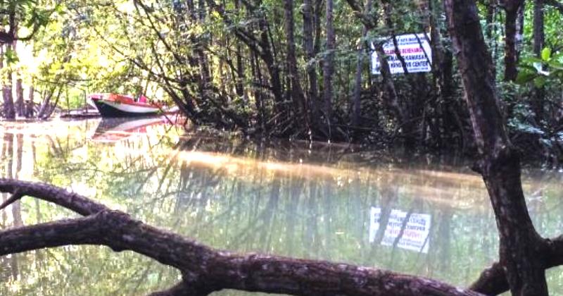 Mangrove Center Graha Indah via Tripadvisor