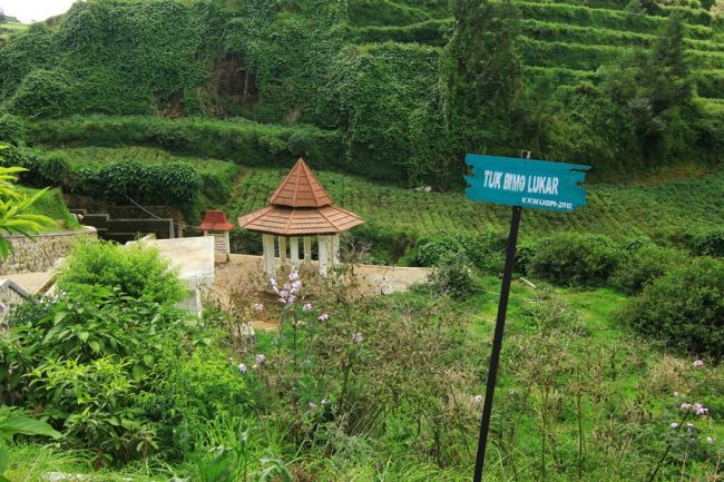 Mata air Sungai Serayu Dieng, 1. Obyek Wisata Alam Bukit Sikunir Dieng, 2. Tempat Wisata Telaga Pengilon Dieng, 3. Objek Wisata Telaga Merdada Dieng, 4. Pendakian Gunung Prau Dieng, 5. Obyek Wisata Candi Arjuna Dieng, 6. Liburan ke Dieng Plateau Theater, 7. Tempat Wisata Gardu Pandang Tieng, 8. Tempat Wisata Alam Batu Ratapan Angin di Dieng, 9. Objek Wisata Sumur Jalatunda di Dieng, 10. Obyek Wisata Kawah Sikidang di Dieng, 11. Tempat Wisata Alam Telaga Warna di Dieng, 12. Tempat Wisata Telaga Cebong di Dieng, 13. Obyek Wisata Candi Bima di Dieng, 14. Obyek Wisata Kawah Candradimuka Dieng, 15. Obyek Wisata Kawah Sileri Dieng, 16. Tempat Wisata Museum Kailasa di Dieng, 17. Tempat Wisata Kuliner di Dieng, 18. Obyek Wisata Gua Semar Dieng, 19. Tempat Bermain di Mata air Sungai Serayu Dieng, 20. Arung Jeram di Dieng, 21. Telaga Menjer, 22. Savana Pangonan, 23. Telaga Dringo, 24. Petak 9 Dieng
