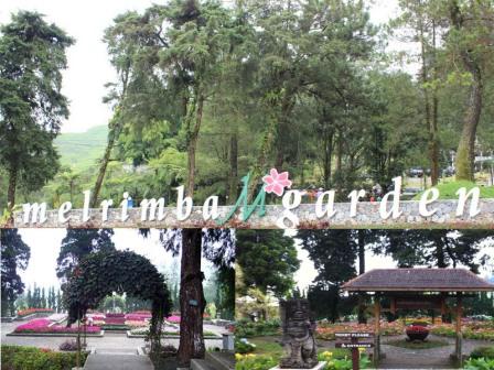 Tempat Wisata di puncak - Melrimba Garden, 1. Tempat Wisata di puncak – Curug Panjang, 2. Tempat Wisata di puncak – Taman Wisata Matahari, 3. Tempat Wisata di puncak – Taman Riung Gunung, 4. Tempat Wisata di puncak – Curug Cilember, 5. Tempat Wisata di puncak – Telaga Warna, 6. Tempat Wisata di puncak – Desa Wisata Pancawati, 7. Tempat Wisata di puncak – Curug Kembar, 8. Tempat Wisata di puncak – Taman Safari, 9. Tempat Wisata di puncak – Curug Cibeureum, 10. Tempat Wisata di puncak – Istana Presiden Cipanas, 11. Tempat Wisata di puncak – Melrimba Garden, 12. Tempat Wisata di puncak – Kebun Wisata Inkarla, 13. Taman Nasional Gunung Gede Pangrango, 14. Tempat Wisata di puncak – Agro Wisata Gunung Mas, 15. Tempat Wisata di puncak – Wisata Citamiang, 16. Little Venice Kota Bunga, 17. Tempat Wisata di puncak – Seruni Tematik Hotel, 18. Pusat Pendidikan Konservasi Alam Bodogol, 19. Tempat Wisata di Puncak – Taman Rekreasi Lido, 21. Wisata Desa Kampung Bambu Puncak Bogor, 22. Warso Farm Puncak Bogor, 23. Taman Wisata Air Panas Tirta Sanita Ciseeng, 24. Cimory Riverside, 25. Pondok Rasamala, 26. Kebun Raya Cibodas, 27. Penangkaran Rusa Giri Jaya Cariu, 28. Bukit Gantole Puncak, 29. Curug Hordeng, 30. Bukit Alesano, 31. Leuwi Lieuk, 32. Gunung Pancar, 33. Taman Bunga Nusantara, 34. Curug Cibaliung, 35. Telaga Biru Cipanas, 36. Menginap di Puncak Pass Resort dengan View Pemandangan yang Indah, 37. Wisata Religi di Masjid At-Ta’awun