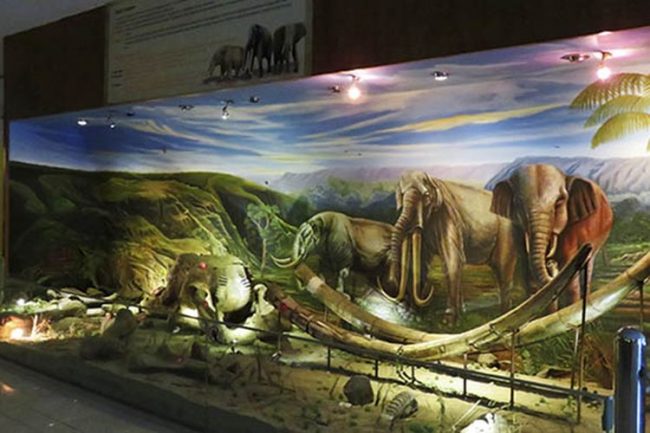 Museum Manusia Purba Sangiran via Kompas, 1. Grojogan Sewu Tawangmangu, 2. Pandawa Water World Solo Baru, 3. Taman Balekambang, 4. Keraton Surakarta, 5. Wisata Tugu Lilin di Solo , 6. Air Terjun Jumog, 7. Taman Sriwedari, 8. Kampoeng Batik Kauman, 9. Pasar Klewer, 10. Tempat Wisata di Solo – Museum Manusia Purba Sangiran, 11. Tempat Wisata di Solo – Pura Mangkunegaran, 12. Monumen Pers, 13. Galabo Solo, 14. Tempat Wisata di Solo – Kebun Binatang Taru Jurug, 15. Ngarsopuro Night Market Solo, 16. Alun-Alun Kidul Surakarta, 17. Tempat Wisata di Solo – Dalem Kalitan, 18. Tempat Wisata di Solo – Taman Cerdas, 19. Masjid Al-Wustho Mangkunegaran, 20. Bendungan Karet Tirtonadi, 21. The Heritage Palace, 22. Lokananta Recording Audio & Video Cassette, 23. Trans Studio Mini Solo, 24. Museum Batik Danar Hadi, 25. Loji Gandrung, 26. Museum Radya Pustaka, 27. Pasar Antik Triwindu, 28. Benteng Vastenburg Fort, 29. Agrowisata Amanah, Karanganyar, 30. Agrowisata Sondokoro, Karanganyar, 31. Bukit Hope, Karanganyar (Tutup), 32. Bumi Perkemahan Sekipan, Karanganyar, 33. Candi Cetho, Karanganyar, 34. Candi Sukuh, Karanganyar, 35. Edupark Intan Pari, Karanganyar, 36. Kebun Strawberry, Karanganyar, 37. Paralayang Segoro Gunung, Karanganyar, 38. Rumah Pohon Banyu Anyep (Tutup), 39. Taman Bintang Kemuning, Ngargoyoso, Karanganyar, 40. Telaga Madirda, Karanganyar, 41. Bukit Cumbri, Wonogiri, 42. Gantole Wonogiri, 43. Batu Seribu, Sukoharjo, 44. Bendungan Colo, Sukoharjo, 45. Gardu Pandang Bukit Batur Suroteleng, 46. Bukit Gancik, 47. Tretes Taman Tani (Tutup), 48. De Tjolomadoe, 49. Rumah Atsiri Indonesia, 50. Pantai Karang Payung, 51. Tumurun Private Museum, 52. River Moon Pusur, 53. Museum R Hamong Wardoyo, 54. Sepur Kluthuk Jaladara, 55. Koridor Singosaren, 56. Ndalem Gondosuli, 57. Grojogan Selondo, 58. Taman Hutan Rakyat Ngargoyoso, 59. Candi Plaosan, 60. Umbul Ponggok, 61. Umbul Cokro Tulung, 62. Omah Jungkir, 63. Telaga Biru, 64. Randubang, 65. Pasar Gede Hardjonagoro, 66. Solo Grand Mall, 67. Pusat Grosir Solo, 68. Taman Bunga Bono, Klaten, 69. Umbul Kapilaler, Klaten, 70. Bukit Gancik, Selo, Boyolali, 71. Lembah Gunung Madu, Boyolali, 72. Objek Wisata Tlatar, Boyolali, 73. Obyek Wisata Air Cokro, 74. Museum Samanhudi, 75. Air Terjun Parang Ijo, 76. Museum Keris, 77. Vihara Dhamma Sundara
