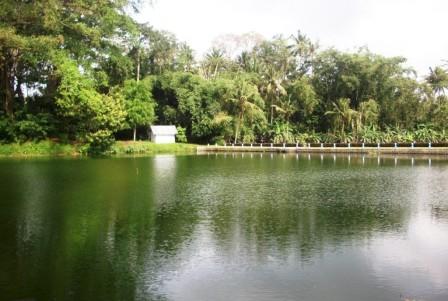 Objek Wisata Alam Pacuh, 1. Kampung Coklat, 2. Taman Kebon Rojo, 3. Pantai Tambakrejo, 4. Pantai Pangi, 5. Perkebunan Teh Sirah Kencong, 6. Pantai Serang, 7. Blitar Park, 8. Petilasan Rambut Monte, 9. Candi Penataran, 10. Pantai Peh Pulo, 11. Goa Embultuk, 12. Candi Gambar Wetan, 13. Situs Arca Warak, 14. Candi Kotes, 15. Candi Sawentar, 16. Makam Bung Karno, 17. Istana Gebang, 18. Water Park Sumberudel, 19. Desa Wisata Semen, 20. Wisata Sejarah Monumen Trisula, 21. Penangkaran Rusa Maliran, 22. Agrowisata Karangsari Blitar, 23. Gunung Butak, 24. Pantai Gondo Mayit, 25. Air Terjun Coban Wilis, 26. Air Terjun Sirah Kencong, 27. Air Terjun Grenjeng, 28. Air Terjun Jurug Bening , 29. Objek Wisata Alam Pacuh, 30. Pantai Umbul Waru, 31. Curug dan Kedung Badrun, 32. Air Terjun Lawean, 33. Pantai Jolosutro, 34. Arung Jeram Soko Adventure Blitar, 35. Goa Maria Sendang Rejo, 36. Gardu Pandang Perkebunan Gambar, 37. Omah Djadoel, 38. Gunung Kelud, 39. Air Terjun Kedung Entong, 40.  Air Terjun Tirto Galuh, 41. Taman Jurug Goa Luweng Prodo, 42. Bukit Teletubies Blitar, 43. Hutan Pinus Gogoniti, 44. Kampung Afrika Blitar, 45. Gunung Butak, 46. Pantai Pasur, 47. Pantai Serit, 48. Monumen PETA, 49. Wisata Alam Paco, 50. Bendungan Serut, 51. Arca Gamprang, 52. Candi Simping, 53. Jurug Moncar, 54. Candi Mleri, 55. Candi Kalicilik, 56. Alun-alun Blitar, 57. Blitar Green Park, 58. Taman Pecut, 59. Fish Garden Blitar, 60. Kaloka Lodoyo, 61. Pemandian Sumur Amber Kandangan, 62. Bendungan Wlingi Raya, 63. Taman Idaman Hati Wlingi Blitar, 64. Villa Puncak Pesanggrahan Tambakrejo