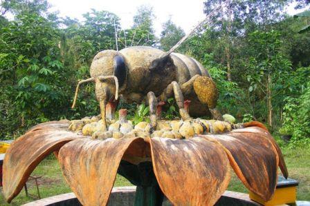 Objek Wisata Panen Madu di Agro Tawon Rimba Raya Malang, 1. Wisata Pantai Batu Bengkung Malang, 2. Wisata Batu Night Spectacular (BNS) Malang, 3. Wisata Jatim Park 1, 4. Wahana Wisata Jatim Park 2 Malang, 5. Alun-alun kota Malang, 6. Wisata Petik Apel Malang, 7. Masjid Tiban Malang, 8. Wisata Alam Air Terjun Coban Rondo Malang, 9. Wahana Wisata Eco Green Park Malang, 10. Wisata Museum Angkut Malang, 11. Wisata Pulau Sempu Malang, 12. Wisata Pantai Balekambang Malang, 13. Objek Wisata Bendungan Karangkates Malang, 14. Wahana Wisata Wendit Water Park Malang, 15. Tempat wisata Alam Selecta Malang, 16. Objek Wisata Agrowisata Wonosari Malang, 17. Wahana Wisata Taman Rekreasi Sengkaling Malang, 18. Wisata Kuliner dan Edukasi di Inggil Museum Resto Malang, 19. Wisata Alam Menikmati Kecantikan Alam Ala Omah kayu Malang, 20. Objek Wisata Uji Adrenalin Wisata Paralayang Malang, 21. Wisata Alam 7 Air Terjun Sumber Pitu Malang, 22. Berwisata Menikmati Keperawanan Pantai Sipelot Malang, 23. Tempat Wisata Edukasi Museum Kesehatan Jiwa Malang, 24. Wisata Alam Sumber Air Krabyakan Malang, 25. Wisata Pantai Ngliyep nan Indah di Malang, 26. Wisata Sejarah di Museum D’Topeng Malang, 27. Objek Wisata Panen Madu di Agro Tawon Rimba Raya Malang, 28. Wisata Sejarah Gerbong Maut di Museum Brawijaya Malang, 29. Wisata Edukasi Museum Malang Tempo Doeloe, 30. Objek Wisata Pemandian Air Panas Cangar Batu Malang, 31. Objek Wisata Secret zoo Kebun Binatang Batu Malang, 32. Tempat Wisata Kuliner Es Krim Legendaris di Toko Oen Malang, 33. Mata Air Sumber Sirah, 34. Coban Nirwana atau Coban Mbok Karimah, 35. Pemandian Kalireco Lawang, 36. Teluk Bidadari, 37. Banyu Anjlok, 38. Wisata Tubing Wringinanom, 39. Coban Tundo, 40. Pantai Kedung Celeng, 41. Air Terjun Coban Pelangi, 42. Gua Lo Bangi, 43. Ndayung Rafting, 44. Waduk Selorejo Malang, 45. Pantai Tiga Warna Malang, 46. Teluk Kletekan Malang, 47. Pantai Lenggoksono Malang, 48. Pantai Bajul Mati Malang, 49. Jawa Timur Park 3, 50. Kampung Warna Warni Jodipan, 51. Candi Badut, 51. Sumber Jenon, 52. Wisata Pujon Kidul, 53. Pantai Sendang Biru, 54. Hawai Waterpark, 55. Pura Luhur Giri Arjuno, 56. Museum Tubuh, 57. Kusuma Waterpark, 58. Candi Songgoriti, 59. Taman Singha Merjosari, 60. Taman Kelinci, 61. Candi Singosari, 62. Pura Luhur Giri Arjuno, 63. Masjid Agung Malang, 64. Masjid Annur Batu, 65. Coban Rais, 66. River Tubing di Sungai Amprong, 67. Sumber Maron, 68. Coban Jahe, 69. Coban Talun, 70. Coban Parang Tejo, 71. Coban Gintung, 72. Coban Sewu, 73. Coban Putri, 74. Rafting Kaliwatu, 75. Sumber Taman, 76. Bukit Bulu, 77. De Tjangkul Batu, 78. Taman Labirin Coban Rondo, 79. Bukit Binglis, 80. Bukit Cinta, 81. Bukit Bintang, 82. Bukit Teletubbies, 83. Bukit Asmoro, 84. Bukit Budug Asu, 85. Pantai Banyu Meneng, 86. Pantai Selok, 87. Pantai Sendiki, 88. Pantai Goa Cina, 89. Pantai Sendang Biru, 90. Pantai Watu Leter, 91. Pantai Wedi Awu, 92. Pantai Jonggring Saloko, 93. Pantai Wedi Putih, 94. Pantai Bangsong, 95. Pantai Teluk Asmoro, 96. Pantai Telok, 97. Pantai Parang Dowo, 98. Pantai Jolangkung, 99. Pantai Tomen