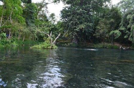 Objek Wisata Telaga Air Cempaka Tegal, 1. Pemandian Air Panas Guci, 2. Pantai Purwahamba Indah, 3. Tirta Waduk Cacaban , 4. Agro Wisata Loco Antik , 5. Curug Cantel Bumijawa, 6. Curug Putri , 7. Pantai Alam Indah, 8. Bahari Waterpark Tegal, 9. Wana Wisata Clirit View, 10. Rita Park, 11. Alun-alun Kota Tegal, 12. Taman Rakyat Slawi Ayu, 13. Guci Forest, 14. Sulaku Bumijawa Park, 15. Taman Anggrek Tuwel Guci, 16. Guciku Hot Waterboom, 17. The Baron Hill of Guci, 18. Waterboom Yogya, 19. Konsorsium Rumah Wayang, 20. Bukit Goa Lawa atau Bukit Batu Agung, 21. Danau Beko Margasari, 22. Jembatan Gantung Danawarih, 23. Kawasan Konservasi Karang Jeruk, 24. Wisata Kesehatan Jamu (WKJ) Kalibakung, 25. Monumen Bahari, 26. Curug Pitu Margasari, 27. Situs Manusia Purba Semedo, 28. Pantai Muarareja Indah, 29. Taman Poci, 30. Curug Jejeg, 31. Curug Luhur, 32. Curug Kembar, 33. Kolam Renang Samudra Slawi, 34. Bukit Rangkok Pagerwangi, 35. Kebun Melati Maribaya, 36. Curug Penganten, 37. Pacific Mall, 38. Bukit Bintang Guci, 39. Curug Sentul Cawitali, 40. Curug Jedor Guci, 41. Curug Longan, 42. Kolam Renang Hj. Muriyah Slawi, 43. Telaga Air Cempaka, 44. Gunung Tanjung