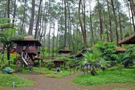 Obyek Wisata Keluarga Grafika Cikole di Lembang, Informasi Dasar, Daya Tarik Lembang, Tempat Wisata di Lembang Bandung, Tempat Wisata di Lembang yang Sudah Tutup, Aktivitas Seru yang Wajib Dilakukan di Lembang, Akses Menuju Lembang