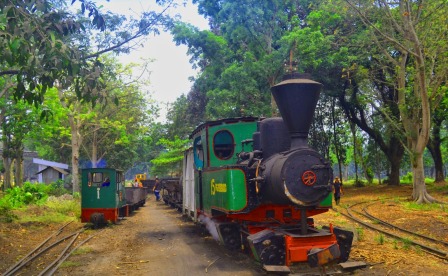 Obyek Wisata Menarik Loko Lori di Jember, 1. Tempat Wisata Pantai Pasir Putih Malikan (Papuma) Jember, 2. Tempat Wisata Pantai Watu Ulo Jember, 3. Tempat Wisata Keluarga Pantai Bandealit di Jember, 4. Tempat Wisata Pantai Puger di Jember, 5. Obyek Wisata Keluarga Tiara Waterpark di Jember, 6. Objek Wisata Keluarga Pemandian Kebon Agung di Jember, 7. Tempat Wisata Edukasi Taman Botani Jember, 8. Wahana Liburan Seru Waterboom Niagara di Jember, 9. Destinasi Wisata Populer Kawasan Puncak Rembangan di Jember, 10. Tempat Wisata Alam Air Terjun Tancak di Jember, 11. Tujuan Wisata Keluarga Pemandian Patemon di Jember, 12. Tempat Wisata Sejarah Situs Duplang di Jember, 13. Obyek Wisata Pantai Paseban di Jember, 14. Obyek Wisata Pemandian Rembangan di Jember, 15. Obyek Wisata Menarik Loko Lori di Jember, 16. Tempat Wisata Alam Air Terjun Antrokan di Jember, 17. Kafe Kolong di Jember, 18. Obyek Wisata Bedadung di Jember (Sudah Tutup), 19. Wisata ke Perkebunan Teh Gunung Gambir di Jember, 20. Obyek Wisata Pemandian Oleng Sibutong di jember, 21. Kimo Swimming Pool, 22. Air Terjun Manggisan, 23. Air Terjun Sumber Salak, 24. Pantai Payangan, 25. Pantai Rowo Cangak, 26. Pantai Teluk Love, 27. Agrowisata Tembakau, 28. Wisata Agro Glantangan, 29. Dira Park, 30. Agrowisata Mumbul Garden Jember, 31. Taman Nasional Meru Betiri, 32. Museum Tembakau Jember, 33. Pabrik Kopi Gumitir Jember, 34. Pulau Nusa Barong Jember, 35. Agrowisata Kopi dan Kakao, 36. Air Terjun Watu Ombo, 37. Air Terjun Lereng Raung, 38. Air Terjun Sumber Salak, 39. Taman Galaxy, 40. Bukit SJ 88, 41. Air Terjun Mandigu, 42. Goa Jepang