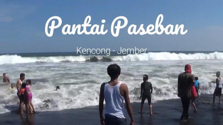 Obyek Wisata Pantai Paseban di Jember, 1. Tempat Wisata Pantai Pasir Putih Malikan (Papuma) Jember, 2. Tempat Wisata Pantai Watu Ulo Jember, 3. Tempat Wisata Keluarga Pantai Bandealit di Jember, 4. Tempat Wisata Pantai Puger di Jember, 5. Obyek Wisata Keluarga Tiara Waterpark di Jember, 6. Objek Wisata Keluarga Pemandian Kebon Agung di Jember, 7. Tempat Wisata Edukasi Taman Botani Jember, 8. Wahana Liburan Seru Waterboom Niagara di Jember, 9. Destinasi Wisata Populer Kawasan Puncak Rembangan di Jember, 10. Tempat Wisata Alam Air Terjun Tancak di Jember, 11. Tujuan Wisata Keluarga Pemandian Patemon di Jember, 12. Tempat Wisata Sejarah Situs Duplang di Jember, 13. Obyek Wisata Pantai Paseban di Jember, 14. Obyek Wisata Pemandian Rembangan di Jember, 15. Obyek Wisata Menarik Loko Lori di Jember, 16. Tempat Wisata Alam Air Terjun Antrokan di Jember, 17. Kafe Kolong di Jember, 18. Obyek Wisata Bedadung di Jember (Sudah Tutup), 19. Wisata ke Perkebunan Teh Gunung Gambir di Jember, 20. Obyek Wisata Pemandian Oleng Sibutong di jember, 21. Kimo Swimming Pool, 22. Air Terjun Manggisan, 23. Air Terjun Sumber Salak, 24. Pantai Payangan, 25. Pantai Rowo Cangak, 26. Pantai Teluk Love, 27. Agrowisata Tembakau, 28. Wisata Agro Glantangan, 29. Dira Park, 30. Agrowisata Mumbul Garden Jember, 31. Taman Nasional Meru Betiri, 32. Museum Tembakau Jember, 33. Pabrik Kopi Gumitir Jember, 34. Pulau Nusa Barong Jember, 35. Agrowisata Kopi dan Kakao, 36. Air Terjun Watu Ombo, 37. Air Terjun Lereng Raung, 38. Air Terjun Sumber Salak, 39. Taman Galaxy, 40. Bukit SJ 88, 41. Air Terjun Mandigu, 42. Goa Jepang
