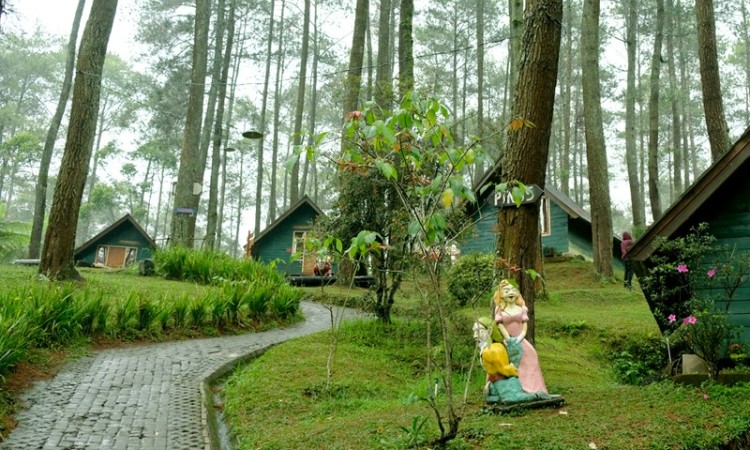 Orchid Forest Cikole via Airyrooms, 1. Gunung Tangkuban Perahu, 2. Trans Studio Bandung, 3. Wisata Kawah Putih Ciwidey, 4. Curug Dago di Bandung, 5. Wisata Belanja Pasar Baru di Bandung, 6. Wisata Edukasi Observatorium Bosscha di Bandung, 7. Wisata Alam Danau Situ Patenggang di Bandung, 8. Wisata Air Panas Ciater, 9. Wisata Kampung Gajah di Bandung (Tutup Permanen), 10. Tempat Wisata Kebun Binatang di Bandung, 11. Wisata Rumah Mode Bandung, 12. Wisata Seni Saung Angklung Udjo Di Bandung, 13. Wisata Edukasi Museum Geologi Bandung, 14. Paskal Food Market, 15. Rumah Strawberry Ciwidey, 16. Cihampelas Walk, 17. Museum Konferensi Asia Afrika, 18. Museum Sri Baduga Bandung, 19. Taman Lalu Lintas Ade Irma Suryani, 20. Kolam Renang Karang Setra, 21. Taman Wisata Alam Maribaya, 22. Kawasan Punclut Bandung Utara, 23. Kebun Bunga Cihideung, 24. Tempat Wisata De’Ranch, 25. Wisata Kuliner Floating Market, 26. Perkebunan Teh Rancabali, 27. Wisata Air Panas Ciwalini, 28. Wisata Bumi Perkemahan Ranca Upas, 29. Little Seoul Bandung, 30. Dusun Bambu Lembang, 31. Taman Hutan Raya Ir Djuanda, 32. Curug Upas, 33. Ciwidey Valley Resort, 34. Sendang Kahuripan, 35. Situ Cileunca, 36. Taman Balai Kota, 37. Gunung Puntang, 38. Stone Garden, 39. Chinatown Bandung, 40. Bird Pavilion, 41. Curug Malela, 42. Tebing Keraton, 43. Puncak Bintang, 44. Amazing Art World, 45. Street Gourmet, 46. Curug Cimahi, 47. Tafso Barn, 48. Sanghyang Heuleut, 49. The Great Asia Afrika, 50. Tebing Citatah, 51. Jalan Braga, 52. D’Dieuland, 53. Jembatan Kereta Api Cikudapateuh Ciwidey, 54. Upside Down World Bandung, 55. Orchid Forest Cikole, 56. Kebun Teh Sukawana, 57. Kampoeng Tulip, 58. Kampung Pasir Ipis, 59. Kebun Bunga Begonia, 60. Wisata Grafika Cikole, 61. Pine Forest Camp Lembang, 62. The Lodge Maribaya, 63. Farm House Susu Lembang, 64. Glamping Lakeside, 65. Curug Keraton Cibodas, 66. Curug Layung Lembang, 67. Curug Tilu Leuwi Opat, 68. Jendela Alam, 69. Ciwangun Indah Camp (CIC) Lembang, 70. Taman Miniatur Kereta Api, 71. Lereng Anteng Panoramic Coffee, 72. Gunung Putri Lembang, 73. Kawasan Berkuda Ganesha H Equestrian, 74. Bukit Labyrinth Ganesha H Equestrian, 75. Bukit Pangjebolan Lembang, 76. Argowisata Kawah Rengganis, 77. Pemandian Air Panas Ciwalini, 78. Curug Cipanji Bandung, 79. Wisata Air Curug Tilu, 80. Bukit Jamur Rancabolang Ciwidey, 81. Barusen Hills, 82. Kampung Cai Rancaupas, 83. Bumi Perkemahan Ranca Cangkuang, 84. Cimanggu Hot Spring & Cottage, 85. Taman Kelinci Ciwidey, 86. Danau eMTe Highland Resort, 87. Green Hill Park TWA Cimanggu