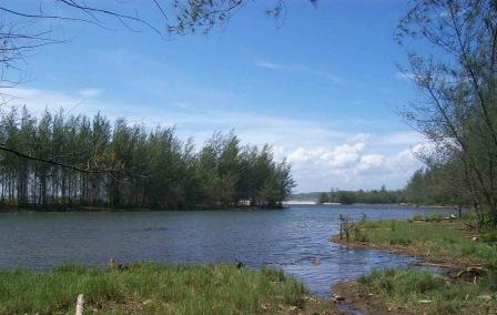 Pantai Air Rami Mukomuko Bengkulu, 1. Pantai Panjang, 2. Tempat Wisata Sejarah Rumah Pengasingan Bung Karno, 3. Tempat Wisata Sejarah Benteng Marlborough Bengkulu, 4. Tempat Wisata Pantai Tapak Paderi Bengkulu, 5. Berwisata ke Kota Curup Bengkulu, 6. Tempat Wisata Danau Dendam Tak Sudah Bengkulu, 7. Tempat Wisata Danau Mas Harun Bastari Bengkulu, 8. Tempat Wisata Sejarah Museum Negeri Bengkulu, 9. Tempat Wisata Alam Bukit Kaba Bengkulu, 10. Berwisata ke Pulau Tikus Bengkulu, 11. Wisata Alam Sungai Air Berau Bengkulu, 12. Wisata ke Habitat Bunga Rafflesia Arnoldii Bengkulu, 13. Tempat Wisata Pantai Teluk Sepang Bengkulu, 14. Berwisata ke Air Terjun Curup, 15. Tempat Wisata Danau Lebong di Bengkulu Tengah, 16. Tempat Wisata Air Terjun Kepala Curup Bengkulu, 17. Tempat Wisata Air Terjun Sindang Kelingi Bengkulu, 18. Tempat Wisata Kebun Teh Bukit Daun Bengkulu, 19. Tempat Wisata Pantai Lais Bengkulu, 20. Tempat Wisata Air Terjun Curug Sembilan Bengkulu, 21. Objek Wisata Danau Gedang Bengkulu, 22. Tempat Wisata pantai Jakat Bengkulu, 23. Objek Wisata Tugu Thomas Parr Bengkulu, 24. Tempat Wisata Taman Hutan Raya Bengkulu, 25. Wisata ke Pusat Makanan Khas Bengkulu, 26. Berwisata ke Kampung Tua Cina Bengkulu, 27. Tempat Wisata Sungai Air Berau Muko-Muko Bengkulu, 28. Pantai Batung Badoro Muko-Muko Bengkulu, 29. Pantai Air Rami Mukomuko Bengkulu, 30. Danau Nibung Mukomuko Bengkulu, 31. Tempat Wisata Pantai Seluma Bengkulu, 32. Air Terjun Tri Muara Karang, 33. Pantai Sungai Suci, 34. Suban Air Panas Curup, 35. Danau Biru, 36. Pantai Padang Betuah, 37. Curug Mingga, 38. Air Terjun Suban, 39. Pantai Manula, 40. Pantai Linau, 41. Goa Kacamata, 42. Lubuk Sepit Kancing, 43. Pulau Enggano, 44. Arung Jeram Sungai Ketahun, 45. Pantai Bengkenang, 46. Air Terjun Singkai