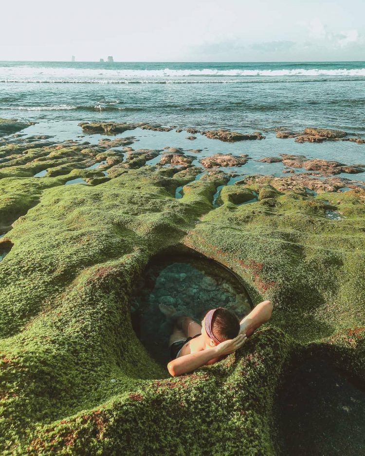 Pantai Parang Dowo via IG @muilchariri.13, 1. Wisata Pantai Batu Bengkung Malang, 2. Wisata Batu Night Spectacular (BNS) Malang, 3. Wisata Jatim Park 1, 4. Wahana Wisata Jatim Park 2 Malang, 5. Alun-alun kota Malang, 6. Wisata Petik Apel Malang, 7. Masjid Tiban Malang, 8. Wisata Alam Air Terjun Coban Rondo Malang, 9. Wahana Wisata Eco Green Park Malang, 10. Wisata Museum Angkut Malang, 11. Wisata Pulau Sempu Malang, 12. Wisata Pantai Balekambang Malang, 13. Objek Wisata Bendungan Karangkates Malang, 14. Wahana Wisata Wendit Water Park Malang, 15. Tempat wisata Alam Selecta Malang, 16. Objek Wisata Agrowisata Wonosari Malang, 17. Wahana Wisata Taman Rekreasi Sengkaling Malang, 18. Wisata Kuliner dan Edukasi di Inggil Museum Resto Malang, 19. Wisata Alam Menikmati Kecantikan Alam Ala Omah kayu Malang, 20. Objek Wisata Uji Adrenalin Wisata Paralayang Malang, 21. Wisata Alam 7 Air Terjun Sumber Pitu Malang, 22. Berwisata Menikmati Keperawanan Pantai Sipelot Malang, 23. Tempat Wisata Edukasi Museum Kesehatan Jiwa Malang, 24. Wisata Alam Sumber Air Krabyakan Malang, 25. Wisata Pantai Ngliyep nan Indah di Malang, 26. Wisata Sejarah di Museum D’Topeng Malang, 27. Objek Wisata Panen Madu di Agro Tawon Rimba Raya Malang, 28. Wisata Sejarah Gerbong Maut di Museum Brawijaya Malang, 29. Wisata Edukasi Museum Malang Tempo Doeloe, 30. Objek Wisata Pemandian Air Panas Cangar Batu Malang, 31. Objek Wisata Secret zoo Kebun Binatang Batu Malang, 32. Tempat Wisata Kuliner Es Krim Legendaris di Toko Oen Malang, 33. Mata Air Sumber Sirah, 34. Coban Nirwana atau Coban Mbok Karimah, 35. Pemandian Kalireco Lawang, 36. Teluk Bidadari, 37. Banyu Anjlok, 38. Wisata Tubing Wringinanom, 39. Coban Tundo, 40. Pantai Kedung Celeng, 41. Air Terjun Coban Pelangi, 42. Gua Lo Bangi, 43. Ndayung Rafting, 44. Waduk Selorejo Malang, 45. Pantai Tiga Warna Malang, 46. Teluk Kletekan Malang, 47. Pantai Lenggoksono Malang, 48. Pantai Bajul Mati Malang, 49. Jawa Timur Park 3, 50. Kampung Warna Warni Jodipan, 51. Candi Badut, 51. Sumber Jenon, 52. Wisata Pujon Kidul, 53. Pantai Sendang Biru, 54. Hawai Waterpark, 55. Pura Luhur Giri Arjuno, 56. Museum Tubuh, 57. Kusuma Waterpark, 58. Candi Songgoriti, 59. Taman Singha Merjosari, 60. Taman Kelinci, 61. Candi Singosari, 62. Pura Luhur Giri Arjuno, 63. Masjid Agung Malang, 64. Masjid Annur Batu, 65. Coban Rais, 66. River Tubing di Sungai Amprong, 67. Sumber Maron, 68. Coban Jahe, 69. Coban Talun, 70. Coban Parang Tejo, 71. Coban Gintung, 72. Coban Sewu, 73. Coban Putri, 74. Rafting Kaliwatu, 75. Sumber Taman, 76. Bukit Bulu, 77. De Tjangkul Batu, 78. Taman Labirin Coban Rondo, 79. Bukit Binglis, 80. Bukit Cinta, 81. Bukit Bintang, 82. Bukit Teletubbies, 83. Bukit Asmoro, 84. Bukit Budug Asu, 85. Pantai Banyu Meneng, 86. Pantai Selok, 87. Pantai Sendiki, 88. Pantai Goa Cina, 89. Pantai Sendang Biru, 90. Pantai Watu Leter, 91. Pantai Wedi Awu, 92. Pantai Jonggring Saloko, 93. Pantai Wedi Putih, 94. Pantai Bangsong, 95. Pantai Teluk Asmoro, 96. Pantai Telok, 97. Pantai Parang Dowo, 98. Pantai Jolangkung, 99. Pantai Tomen