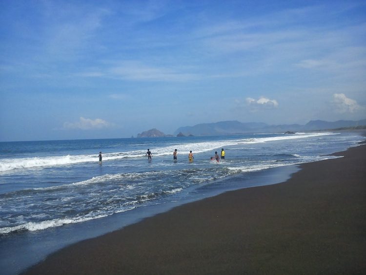Pantai Rowo Cangak Jember, 1. Tempat Wisata Pantai Pasir Putih Malikan (Papuma) Jember, 2. Tempat Wisata Pantai Watu Ulo Jember, 3. Tempat Wisata Keluarga Pantai Bandealit di Jember, 4. Tempat Wisata Pantai Puger di Jember, 5. Obyek Wisata Keluarga Tiara Waterpark di Jember, 6. Objek Wisata Keluarga Pemandian Kebon Agung di Jember, 7. Tempat Wisata Edukasi Taman Botani Jember, 8. Wahana Liburan Seru Waterboom Niagara di Jember, 9. Destinasi Wisata Populer Kawasan Puncak Rembangan di Jember, 10. Tempat Wisata Alam Air Terjun Tancak di Jember, 11. Tujuan Wisata Keluarga Pemandian Patemon di Jember, 12. Tempat Wisata Sejarah Situs Duplang di Jember, 13. Obyek Wisata Pantai Paseban di Jember, 14. Obyek Wisata Pemandian Rembangan di Jember, 15. Obyek Wisata Menarik Loko Lori di Jember, 16. Tempat Wisata Alam Air Terjun Antrokan di Jember, 17. Kafe Kolong di Jember, 18. Obyek Wisata Bedadung di Jember (Sudah Tutup), 19. Wisata ke Perkebunan Teh Gunung Gambir di Jember, 20. Obyek Wisata Pemandian Oleng Sibutong di jember, 21. Kimo Swimming Pool, 22. Air Terjun Manggisan, 23. Air Terjun Sumber Salak, 24. Pantai Payangan, 25. Pantai Rowo Cangak, 26. Pantai Teluk Love, 27. Agrowisata Tembakau, 28. Wisata Agro Glantangan, 29. Dira Park, 30. Agrowisata Mumbul Garden Jember, 31. Taman Nasional Meru Betiri, 32. Museum Tembakau Jember, 33. Pabrik Kopi Gumitir Jember, 34. Pulau Nusa Barong Jember, 35. Agrowisata Kopi dan Kakao, 36. Air Terjun Watu Ombo, 37. Air Terjun Lereng Raung, 38. Air Terjun Sumber Salak, 39. Taman Galaxy, 40. Bukit SJ 88, 41. Air Terjun Mandigu, 42. Goa Jepang