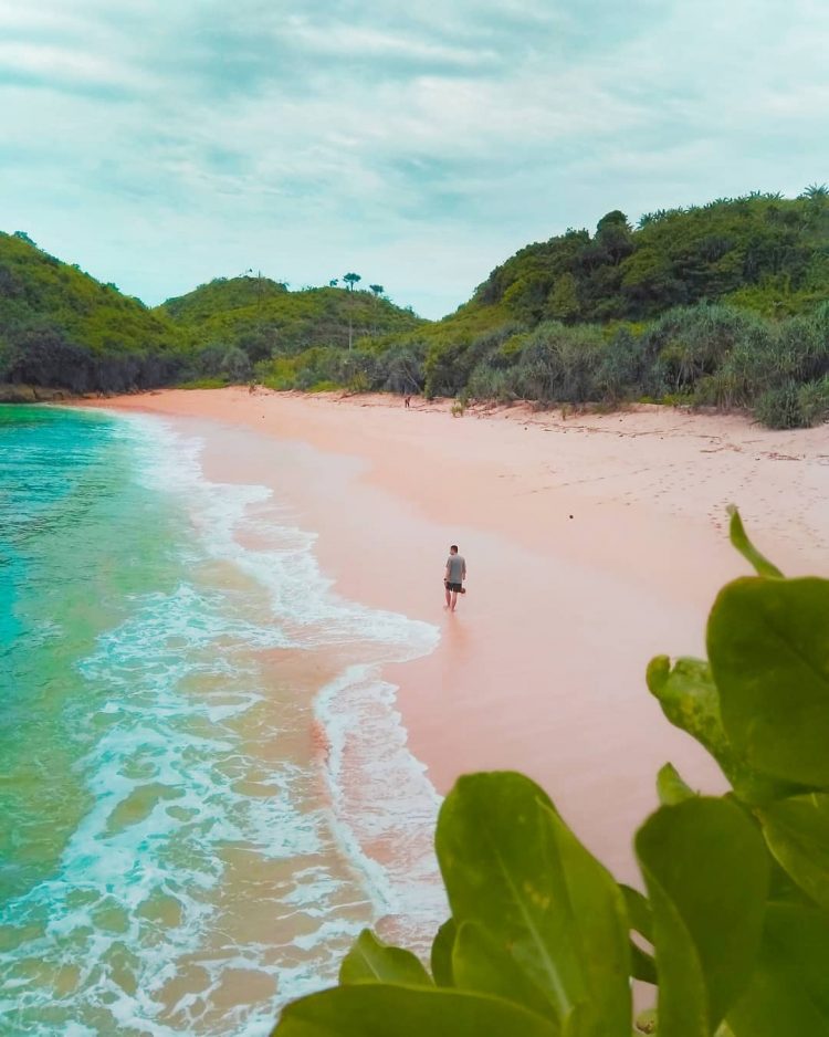 Pantai Telok via IG @rifkydoglekk, 1. Wisata Pantai Batu Bengkung Malang, 2. Wisata Batu Night Spectacular (BNS) Malang, 3. Wisata Jatim Park 1, 4. Wahana Wisata Jatim Park 2 Malang, 5. Alun-alun kota Malang, 6. Wisata Petik Apel Malang, 7. Masjid Tiban Malang, 8. Wisata Alam Air Terjun Coban Rondo Malang, 9. Wahana Wisata Eco Green Park Malang, 10. Wisata Museum Angkut Malang, 11. Wisata Pulau Sempu Malang, 12. Wisata Pantai Balekambang Malang, 13. Objek Wisata Bendungan Karangkates Malang, 14. Wahana Wisata Wendit Water Park Malang, 15. Tempat wisata Alam Selecta Malang, 16. Objek Wisata Agrowisata Wonosari Malang, 17. Wahana Wisata Taman Rekreasi Sengkaling Malang, 18. Wisata Kuliner dan Edukasi di Inggil Museum Resto Malang, 19. Wisata Alam Menikmati Kecantikan Alam Ala Omah kayu Malang, 20. Objek Wisata Uji Adrenalin Wisata Paralayang Malang, 21. Wisata Alam 7 Air Terjun Sumber Pitu Malang, 22. Berwisata Menikmati Keperawanan Pantai Sipelot Malang, 23. Tempat Wisata Edukasi Museum Kesehatan Jiwa Malang, 24. Wisata Alam Sumber Air Krabyakan Malang, 25. Wisata Pantai Ngliyep nan Indah di Malang, 26. Wisata Sejarah di Museum D’Topeng Malang, 27. Objek Wisata Panen Madu di Agro Tawon Rimba Raya Malang, 28. Wisata Sejarah Gerbong Maut di Museum Brawijaya Malang, 29. Wisata Edukasi Museum Malang Tempo Doeloe, 30. Objek Wisata Pemandian Air Panas Cangar Batu Malang, 31. Objek Wisata Secret zoo Kebun Binatang Batu Malang, 32. Tempat Wisata Kuliner Es Krim Legendaris di Toko Oen Malang, 33. Mata Air Sumber Sirah, 34. Coban Nirwana atau Coban Mbok Karimah, 35. Pemandian Kalireco Lawang, 36. Teluk Bidadari, 37. Banyu Anjlok, 38. Wisata Tubing Wringinanom, 39. Coban Tundo, 40. Pantai Kedung Celeng, 41. Air Terjun Coban Pelangi, 42. Gua Lo Bangi, 43. Ndayung Rafting, 44. Waduk Selorejo Malang, 45. Pantai Tiga Warna Malang, 46. Teluk Kletekan Malang, 47. Pantai Lenggoksono Malang, 48. Pantai Bajul Mati Malang, 49. Jawa Timur Park 3, 50. Kampung Warna Warni Jodipan, 51. Candi Badut, 51. Sumber Jenon, 52. Wisata Pujon Kidul, 53. Pantai Sendang Biru, 54. Hawai Waterpark, 55. Pura Luhur Giri Arjuno, 56. Museum Tubuh, 57. Kusuma Waterpark, 58. Candi Songgoriti, 59. Taman Singha Merjosari, 60. Taman Kelinci, 61. Candi Singosari, 62. Pura Luhur Giri Arjuno, 63. Masjid Agung Malang, 64. Masjid Annur Batu, 65. Coban Rais, 66. River Tubing di Sungai Amprong, 67. Sumber Maron, 68. Coban Jahe, 69. Coban Talun, 70. Coban Parang Tejo, 71. Coban Gintung, 72. Coban Sewu, 73. Coban Putri, 74. Rafting Kaliwatu, 75. Sumber Taman, 76. Bukit Bulu, 77. De Tjangkul Batu, 78. Taman Labirin Coban Rondo, 79. Bukit Binglis, 80. Bukit Cinta, 81. Bukit Bintang, 82. Bukit Teletubbies, 83. Bukit Asmoro, 84. Bukit Budug Asu, 85. Pantai Banyu Meneng, 86. Pantai Selok, 87. Pantai Sendiki, 88. Pantai Goa Cina, 89. Pantai Sendang Biru, 90. Pantai Watu Leter, 91. Pantai Wedi Awu, 92. Pantai Jonggring Saloko, 93. Pantai Wedi Putih, 94. Pantai Bangsong, 95. Pantai Teluk Asmoro, 96. Pantai Telok, 97. Pantai Parang Dowo, 98. Pantai Jolangkung, 99. Pantai Tomen