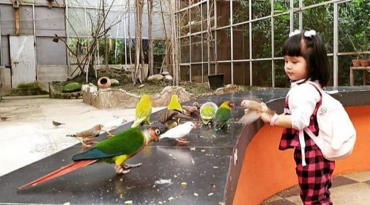 Palembang Bird Park, 1. Obyek Wisata Jembatan Ampera dan Sungai Musi di Palembang, 2. Tempat Wisata Religi Masjid Cheng Hoo Palembang, 3. Obyek Wisata Bukit Siguntang di Palembang, 4. Tempat Wisata Sejarah Museum Sultan Mahmud Badaruddin II Palembang, 5. Tempat Wisata Sejarah Benteng Kuto Besak di Palembang, 6. Wisata Religi Masjid Agung Sultan Mahmud Badaruddin I Palembang, 7. Objek Wisata Gedung Kantor Walikota Palembang, 8. Tempat Wisata Keluarga Kembang Iwak Family Park di Palembang, 9. Tempat Wisata Alam Hutan Punti Kayu di Palembang, 10. Tempat Wisata Sejarah Taman Purbakala Kerajaan Sriwijaya di Palembang, 11. Tempat Wisata Kuliner Kampung Kapitan di Palembang, 12. Objek Wisata Monumen perjuangan rakyat Palembang, 13. Obyek Wisata Pulau Kemaro di Palembang, 14. Tempat Wisata Alam Air Terjun Lematang Indah , 15. Obyek Wisata Gunung Dempo, 16. Tempat Wisata Alam Air Terjun Bidadari di Lahat, 17. Obyek Wisata Alam Air Terjun Maung (Curup Maung), 18. Tempat Wisata Kuliner Terkenal Martabak HAR di Palembang, 19. Tempat Wisata Kuliner Pempek Candy di Palembang, 20. Tempat Wisata Kuliner Pempek SAGA di Palembang, 21. Arung Jeram Sungai Manna, 22. Waterboom OPI Jakabaring, 23. The Amanzi Waterpark CitraGrand City, 24. Fantasy Island Palembang, 25. Danau Ranau, 26. Kolam Renang Lumban Tirta, 27. Museum Negeri Balaputra Dewa, 28. Kampung Arab Palembang, 29. Rumah Rakit Sungai Musi, 30. Palembang Bird Park, 31. Pelabuhan Tanjung Api-Api, 32. Masjid Lawang Kidul, 33. Tangga 2001, 34. Tugu Belido, 35. Kopi Roda, 36. Bayt Al-Quran Raksasa, 37. Sungai Gerong, 38. Goa Putri, 39. Sekanak Sidewalk, 40. Danau OPI, 41. Museum Tekstil Palembang, 42. Waterpark Danau Tanah Mas, 43. Taman Pelangi, 44. Bukit Golf, 45. Klenteng Chandra Nadi, 46. G Art Studio, 47. Pulau Maspari, 48. Gelora Sriwijaya, 49. Warung Apung Sungai Musi, 50. Air Terjun Kematang Indah, 51. Kebun Teh Dempo