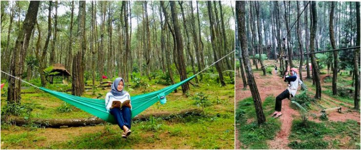 Pasir Langlang Panyawangan via IG @tha.amelia.27, @joteamriot, 1. Air Terjun Curug Cipurut, 2. Situ Wanayasa Purwakarta, 3. Waduk Jatiluhur, 4. Wisata Taman Air Mancur Sribaduga Situ Buleud, 5. Obyek Wisata keluarga Waduk Cirata, 6. Jatiluhur Water World, 7. Wisata Alam Sumber Air panas Ciracas, 8. Wisata Giri Tirta Kahuripan, 9. Sentra Pembuatan Keramik Plered, 10. Wisata Desa Sajuta Batu, 11. Wisata KulinerSate Maranggi, 12. Gedung Negara dan Gedung Karesidenan, 13. Obyek Wisata Goa Jepang, 14. Goa Belanda, 15. Kampung Panenjoan, 16. Skylodge Padjadjaran Anyar, 17. Taman Batu Cijanun, 18. Saung Manglid, 19. Sungai Cidomas, 20. Cikao Waterpark, 21. Urban Farming, 22. Gunung Lembu, 23. Kampung Sadang, 24. Bukit Katumbiri, 25. Pasir Langlang Panyawangan, 26. Museum Galeri Wayang, 27. Bale Panyawangan Diorama Nusantara & Bale Panyawangan Diorama Purwakarta, 28. Green Valley Waterpark, 29. Kuburan Kereta Api Stasiun Purwakarta, 30. Gunung Bongkok, 31. Gunung Parang, 32. Kampung Wisata Tajur, 33. Curug Tilu, 34. Kuya Maranggi Waterpark, 35. Hidden Valley Hills, 36. Tebing Boyer, 37. Tanjakan Cinta, 38. Parang Gombong, 39. Wanakula Camp, 40. Bale Indung Rahayu, 41. Curug Suhada, 42. Curug Cisomang, 43. The Colorville at Alam Sari Wates