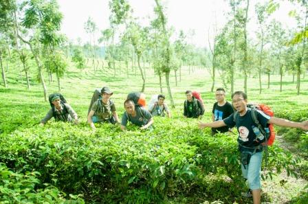 tempat wisata di Garut, 1. Wisata Gunung Papandayan , 2. Wisata Gunung Cikuray , 3. Wisata Gunung Guntur , 4. Tempat Wisata Situ Bagendit di Garut , 5. Wisata Situ dan Candi Cangkuang , 6. Wisata Pemandian Air Panas Cipanas, 7. Wisata Pemandian Air Panas Darajat , 8. Wisata Kawah Putih Talaga Bodas , 9. Wisata Arung Jeram Sungai Cimanuk , 10. Wisata Tebing Alam Batu Tumpang , 11. Wisata Pantai Santolo , 12. Wisata Pantai Sayang Heulang , 13. Wisata Pantai Rancabuaya , 14. Tempat Wisata Taman Satwa Cikembulan di Garut , 15. Wisata Curug Citiis , 16. Wisata Curug Orok , 17. Pantai Puncak Guha di Garut, 18. Wisata Pantai Cijeruk Indah, 19. Wisata Pantai Karang Paranje, 20. Kampung Sampireun, 21. Sabda Alam Cipanas, 22. Kawah Darajat Garut, 23. Curug Cimandi Racun, 24. Curug Sang Hyang Taraje, 25.  Kebun Mawar Situhapa Garut, 26. Kawah Kamojang, 27. Pantai Cicalobak, 28. Pantai Taman Manalusu, 29. Perkebunan Teh Dayeuh Manggung, 30. Kolam Air Panas Cikarees, 31. Bukit Pilar Angin, 32. Leuweung Oko D’Great, 33. Leuwi Tonjong, 34. Bukit Palahlar, 35. Bukit Nangklak, 36. Pusat Konservasi Elang Kamojang, 37. Curug Cikawung, 38. Curug Cibadak, 39. Batu Patapaan, 40. Gunung Piramida Sadahurip, 41. Curug Nyogong, 42. Leuwi Korsi, 43. Leuwi Jurig, 44. Leuwi Jubleg, 45. Bukit Teletubbies Pasir Pogor, 46. Karacak Valley, 47. Cilopang Adventure Camp, 48. Papandayan Leisure Park, 49. River Tubing Cikaengan, 50. Curug Batu Nyusun, 51. Curug Ciarjuna, 52. Hutan Mati Gunung Papandayan