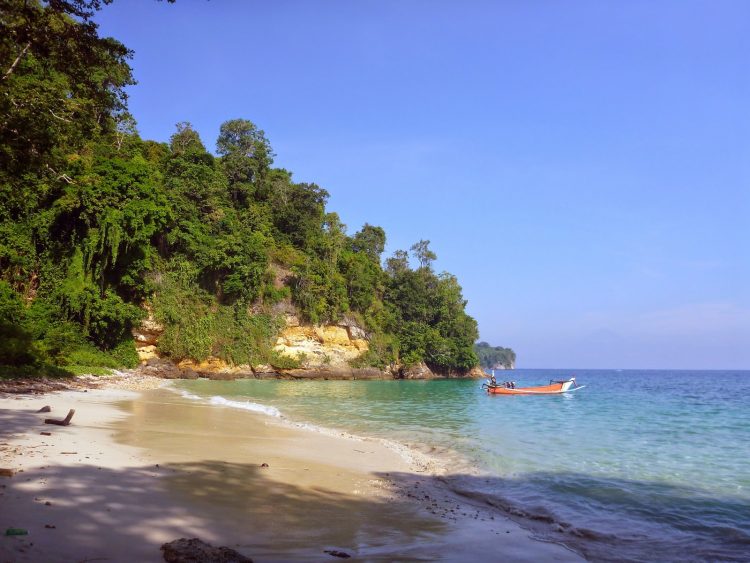 Pulau Nusa Barong Jember, 1. Tempat Wisata Pantai Pasir Putih Malikan (Papuma) Jember, 2. Tempat Wisata Pantai Watu Ulo Jember, 3. Tempat Wisata Keluarga Pantai Bandealit di Jember, 4. Tempat Wisata Pantai Puger di Jember, 5. Obyek Wisata Keluarga Tiara Waterpark di Jember, 6. Objek Wisata Keluarga Pemandian Kebon Agung di Jember, 7. Tempat Wisata Edukasi Taman Botani Jember, 8. Wahana Liburan Seru Waterboom Niagara di Jember, 9. Destinasi Wisata Populer Kawasan Puncak Rembangan di Jember, 10. Tempat Wisata Alam Air Terjun Tancak di Jember, 11. Tujuan Wisata Keluarga Pemandian Patemon di Jember, 12. Tempat Wisata Sejarah Situs Duplang di Jember, 13. Obyek Wisata Pantai Paseban di Jember, 14. Obyek Wisata Pemandian Rembangan di Jember, 15. Obyek Wisata Menarik Loko Lori di Jember, 16. Tempat Wisata Alam Air Terjun Antrokan di Jember, 17. Kafe Kolong di Jember, 18. Obyek Wisata Bedadung di Jember (Sudah Tutup), 19. Wisata ke Perkebunan Teh Gunung Gambir di Jember, 20. Obyek Wisata Pemandian Oleng Sibutong di jember, 21. Kimo Swimming Pool, 22. Air Terjun Manggisan, 23. Air Terjun Sumber Salak, 24. Pantai Payangan, 25. Pantai Rowo Cangak, 26. Pantai Teluk Love, 27. Agrowisata Tembakau, 28. Wisata Agro Glantangan, 29. Dira Park, 30. Agrowisata Mumbul Garden Jember, 31. Taman Nasional Meru Betiri, 32. Museum Tembakau Jember, 33. Pabrik Kopi Gumitir Jember, 34. Pulau Nusa Barong Jember, 35. Agrowisata Kopi dan Kakao, 36. Air Terjun Watu Ombo, 37. Air Terjun Lereng Raung, 38. Air Terjun Sumber Salak, 39. Taman Galaxy, 40. Bukit SJ 88, 41. Air Terjun Mandigu, 42. Goa Jepang