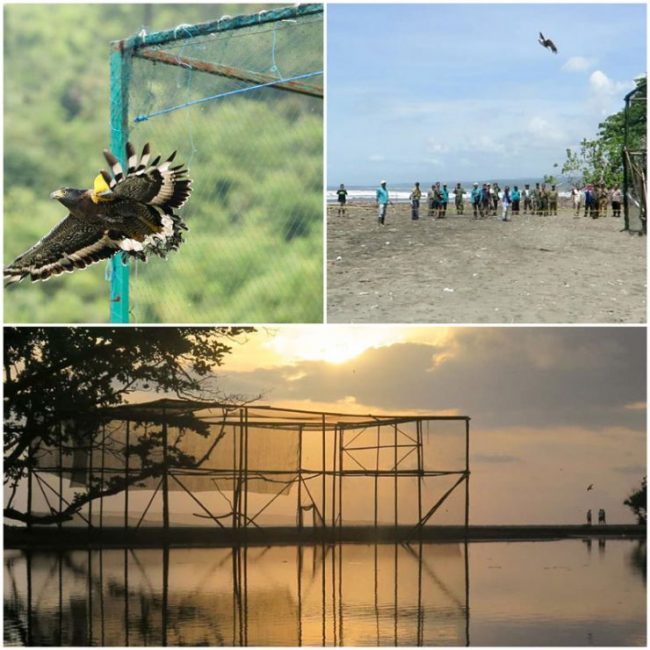 Pusat Konservasi Elang Kamojang, 1. Wisata Gunung Papandayan , 2. Wisata Gunung Cikuray , 3. Wisata Gunung Guntur , 4. Tempat Wisata Situ Bagendit di Garut , 5. Wisata Situ dan Candi Cangkuang , 6. Wisata Pemandian Air Panas Cipanas, 7. Wisata Pemandian Air Panas Darajat , 8. Wisata Kawah Putih Talaga Bodas , 9. Wisata Arung Jeram Sungai Cimanuk , 10. Wisata Tebing Alam Batu Tumpang , 11. Wisata Pantai Santolo , 12. Wisata Pantai Sayang Heulang , 13. Wisata Pantai Rancabuaya , 14. Tempat Wisata Taman Satwa Cikembulan di Garut , 15. Wisata Curug Citiis , 16. Wisata Curug Orok , 17. Pantai Puncak Guha di Garut, 18. Wisata Pantai Cijeruk Indah, 19. Wisata Pantai Karang Paranje, 20. Kampung Sampireun, 21. Sabda Alam Cipanas, 22. Kawah Darajat Garut, 23. Curug Cimandi Racun, 24. Curug Sang Hyang Taraje, 25. Kebun Mawar Situhapa Garut, 26. Kawah Kamojang, 27. Pantai Cicalobak, 28. Pantai Taman Manalusu, 29. Perkebunan Teh Dayeuh Manggung, 30. Kolam Air Panas Cikarees, 31. Bukit Pilar Angin, 32. Leuweung Oko D’Great, 33. Leuwi Tonjong, 34. Bukit Palahlar, 35. Bukit Nangklak, 36. Pusat Konservasi Elang Kamojang, 37. Curug Cikawung, 38. Curug Cibadak, 39. Batu Patapaan, 40. Gunung Piramida Sadahurip, 41. Curug Nyogong, 42. Leuwi Korsi, 43. Leuwi Jurig, 44. Leuwi Jubleg, 45. Bukit Teletubbies Pasir Pogor, 46. Karacak Valley, 47. Cilopang Adventure Camp, 48. Papandayan Leisure Park, 49. River Tubing Cikaengan, 50. Curug Batu Nyusun, 51. Curug Ciarjuna, 52. Hutan Mati Gunung Papandayan