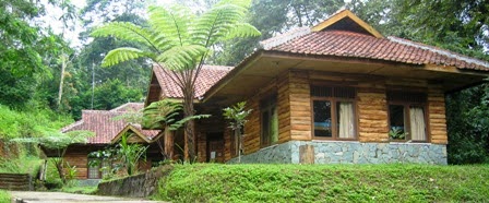 Pusat Pendidikan Konservasi Alam Bodogol, 1. Tempat Wisata di puncak – Curug Panjang, 2. Tempat Wisata di puncak – Taman Wisata Matahari, 3. Tempat Wisata di puncak – Taman Riung Gunung, 4. Tempat Wisata di puncak – Curug Cilember, 5. Tempat Wisata di puncak – Telaga Warna, 6. Tempat Wisata di puncak – Desa Wisata Pancawati, 7. Tempat Wisata di puncak – Curug Kembar, 8. Tempat Wisata di puncak – Taman Safari, 9. Tempat Wisata di puncak – Curug Cibeureum, 10. Tempat Wisata di puncak – Istana Presiden Cipanas, 11. Tempat Wisata di puncak – Melrimba Garden, 12. Tempat Wisata di puncak – Kebun Wisata Inkarla, 13. Taman Nasional Gunung Gede Pangrango, 14. Tempat Wisata di puncak – Agro Wisata Gunung Mas, 15. Tempat Wisata di puncak – Wisata Citamiang, 16. Little Venice Kota Bunga, 17. Tempat Wisata di puncak – Seruni Tematik Hotel, 18. Pusat Pendidikan Konservasi Alam Bodogol, 19. Tempat Wisata di Puncak – Taman Rekreasi Lido, 21. Wisata Desa Kampung Bambu Puncak Bogor, 22. Warso Farm Puncak Bogor, 23. Taman Wisata Air Panas Tirta Sanita Ciseeng, 24. Cimory Riverside, 25. Pondok Rasamala, 26. Kebun Raya Cibodas, 27. Penangkaran Rusa Giri Jaya Cariu, 28. Bukit Gantole Puncak, 29. Curug Hordeng, 30. Bukit Alesano, 31. Leuwi Lieuk, 32. Gunung Pancar, 33. Taman Bunga Nusantara, 34. Curug Cibaliung, 35. Telaga Biru Cipanas, 36. Menginap di Puncak Pass Resort dengan View Pemandangan yang Indah, 37. Wisata Religi di Masjid At-Ta’awun