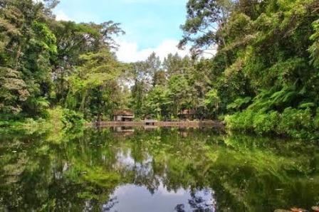 Rowo bayu Banyuwangi