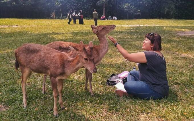 Rusa jinak di Taman Partinah via IG @emak_beruang, 1. Grojogan Sewu Tawangmangu, 2. Pandawa Water World Solo Baru, 3. Taman Balekambang, 4. Keraton Surakarta, 5. Wisata Tugu Lilin di Solo , 6. Air Terjun Jumog, 7. Taman Sriwedari, 8. Kampoeng Batik Kauman, 9. Pasar Klewer, 10. Tempat Wisata di Solo – Museum Manusia Purba Sangiran, 11. Tempat Wisata di Solo – Pura Mangkunegaran, 12. Monumen Pers, 13. Galabo Solo, 14. Tempat Wisata di Solo – Kebun Binatang Taru Jurug, 15. Ngarsopuro Night Market Solo, 16. Alun-Alun Kidul Surakarta, 17. Tempat Wisata di Solo – Dalem Kalitan, 18. Tempat Wisata di Solo – Taman Cerdas, 19. Masjid Al-Wustho Mangkunegaran, 20. Bendungan Karet Tirtonadi, 21. The Heritage Palace, 22. Lokananta Recording Audio & Video Cassette, 23. Trans Studio Mini Solo, 24. Museum Batik Danar Hadi, 25. Loji Gandrung, 26. Museum Radya Pustaka, 27. Pasar Antik Triwindu, 28. Benteng Vastenburg Fort, 29. Agrowisata Amanah, Karanganyar, 30. Agrowisata Sondokoro, Karanganyar, 31. Bukit Hope, Karanganyar (Tutup), 32. Bumi Perkemahan Sekipan, Karanganyar, 33. Candi Cetho, Karanganyar, 34. Candi Sukuh, Karanganyar, 35. Edupark Intan Pari, Karanganyar, 36. Kebun Strawberry, Karanganyar, 37. Paralayang Segoro Gunung, Karanganyar, 38. Rumah Pohon Banyu Anyep (Tutup), 39. Taman Bintang Kemuning, Ngargoyoso, Karanganyar, 40. Telaga Madirda, Karanganyar, 41. Bukit Cumbri, Wonogiri, 42. Gantole Wonogiri, 43. Batu Seribu, Sukoharjo, 44. Bendungan Colo, Sukoharjo, 45. Gardu Pandang Bukit Batur Suroteleng, 46. Bukit Gancik, 47. Tretes Taman Tani (Tutup), 48. De Tjolomadoe, 49. Rumah Atsiri Indonesia, 50. Pantai Karang Payung, 51. Tumurun Private Museum, 52. River Moon Pusur, 53. Museum R Hamong Wardoyo, 54. Sepur Kluthuk Jaladara, 55. Koridor Singosaren, 56. Ndalem Gondosuli, 57. Grojogan Selondo, 58. Taman Hutan Rakyat Ngargoyoso, 59. Candi Plaosan, 60. Umbul Ponggok, 61. Umbul Cokro Tulung, 62. Omah Jungkir, 63. Telaga Biru, 64. Randubang, 65. Pasar Gede Hardjonagoro, 66. Solo Grand Mall, 67. Pusat Grosir Solo, 68. Taman Bunga Bono, Klaten, 69. Umbul Kapilaler, Klaten, 70. Bukit Gancik, Selo, Boyolali, 71. Lembah Gunung Madu, Boyolali, 72. Objek Wisata Tlatar, Boyolali, 73. Obyek Wisata Air Cokro, 74. Museum Samanhudi, 75. Air Terjun Parang Ijo, 76. Museum Keris, 77. Vihara Dhamma Sundara