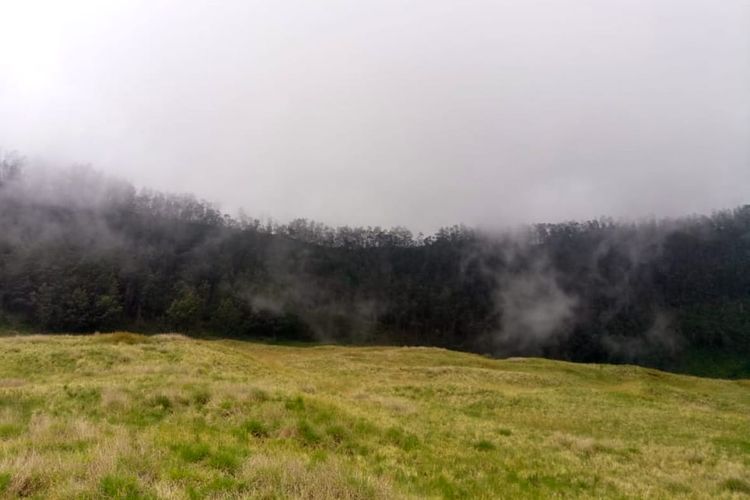 Savana Pangonan via Kompas, 1. Obyek Wisata Alam Bukit Sikunir Dieng, 2. Tempat Wisata Telaga Pengilon Dieng, 3. Objek Wisata Telaga Merdada Dieng, 4. Pendakian Gunung Prau Dieng, 5. Obyek Wisata Candi Arjuna Dieng, 6. Liburan ke Dieng Plateau Theater, 7. Tempat Wisata Gardu Pandang Tieng, 8. Tempat Wisata Alam Batu Ratapan Angin di Dieng, 9. Objek Wisata Sumur Jalatunda di Dieng, 10. Obyek Wisata Kawah Sikidang di Dieng, 11. Tempat Wisata Alam Telaga Warna di Dieng, 12. Tempat Wisata Telaga Cebong di Dieng, 13. Obyek Wisata Candi Bima di Dieng, 14. Obyek Wisata Kawah Candradimuka Dieng, 15. Obyek Wisata Kawah Sileri Dieng, 16. Tempat Wisata Museum Kailasa di Dieng, 17. Tempat Wisata Kuliner di Dieng, 18. Obyek Wisata Gua Semar Dieng, 19. Tempat Bermain di Mata air Sungai Serayu Dieng, 20. Arung Jeram di Dieng, 21. Telaga Menjer, 22. Savana Pangonan, 23. Telaga Dringo, 24. Petak 9 Dieng