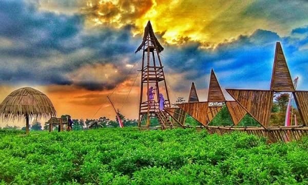 Taman Bintang Kemuning, Ngargoyoso, Karanganyar, 1. Grojogan Sewu Tawangmangu, 2. Pandawa Water World Solo Baru, 3. Taman Balekambang, 4. Keraton Surakarta, 5. Wisata Tugu Lilin di Solo , 6. Air Terjun Jumog, 7. Taman Sriwedari, 8. Kampoeng Batik Kauman, 9. Pasar Klewer, 10. Tempat Wisata di Solo – Museum Manusia Purba Sangiran, 11. Tempat Wisata di Solo – Pura Mangkunegaran, 12. Monumen Pers, 13. Galabo Solo, 14. Tempat Wisata di Solo – Kebun Binatang Taru Jurug, 15. Ngarsopuro Night Market Solo, 16. Alun-Alun Kidul Surakarta, 17. Tempat Wisata di Solo – Dalem Kalitan, 18. Tempat Wisata di Solo – Taman Cerdas, 19. Masjid Al-Wustho Mangkunegaran, 20. Bendungan Karet Tirtonadi, 21. The Heritage Palace, 22. Lokananta Recording Audio & Video Cassette, 23. Trans Studio Mini Solo, 24. Museum Batik Danar Hadi, 25. Loji Gandrung, 26. Museum Radya Pustaka, 27. Pasar Antik Triwindu, 28. Benteng Vastenburg Fort, 29. Agrowisata Amanah, Karanganyar, 30. Agrowisata Sondokoro, Karanganyar, 31. Bukit Hope, Karanganyar (Tutup), 32. Bumi Perkemahan Sekipan, Karanganyar, 33. Candi Cetho, Karanganyar, 34. Candi Sukuh, Karanganyar, 35. Edupark Intan Pari, Karanganyar, 36. Kebun Strawberry, Karanganyar, 37. Paralayang Segoro Gunung, Karanganyar, 38. Rumah Pohon Banyu Anyep (Tutup), 39. Taman Bintang Kemuning, Ngargoyoso, Karanganyar, 40. Telaga Madirda, Karanganyar, 41. Bukit Cumbri, Wonogiri, 42. Gantole Wonogiri, 43. Batu Seribu, Sukoharjo, 44. Bendungan Colo, Sukoharjo, 45. Gardu Pandang Bukit Batur Suroteleng, 46. Bukit Gancik, 47. Tretes Taman Tani (Tutup), 48. De Tjolomadoe, 49. Rumah Atsiri Indonesia, 50. Pantai Karang Payung, 51. Tumurun Private Museum, 52. River Moon Pusur, 53. Museum R Hamong Wardoyo, 54. Sepur Kluthuk Jaladara, 55. Koridor Singosaren, 56. Ndalem Gondosuli, 57. Grojogan Selondo, 58. Taman Hutan Rakyat Ngargoyoso, 59. Candi Plaosan, 60. Umbul Ponggok, 61. Umbul Cokro Tulung, 62. Omah Jungkir, 63. Telaga Biru, 64. Randubang, 65. Pasar Gede Hardjonagoro, 66. Solo Grand Mall, 67. Pusat Grosir Solo, 68. Taman Bunga Bono, Klaten, 69. Umbul Kapilaler, Klaten, 70. Bukit Gancik, Selo, Boyolali, 71. Lembah Gunung Madu, Boyolali, 72. Objek Wisata Tlatar, Boyolali, 73. Obyek Wisata Air Cokro, 74. Museum Samanhudi, 75. Air Terjun Parang Ijo, 76. Museum Keris, 77. Vihara Dhamma Sundara