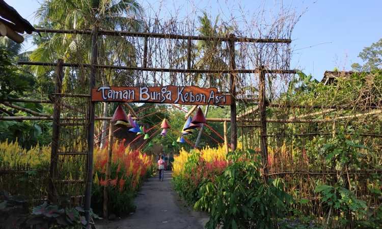 Taman Bunga Kebon Asri via Instagram.com @ivahvaa, 1. Tempat Wisata Sejarah Candi Prambanan Klaten, 2. Tempat Wisata Air Umbul Ponggok Klaten, 3. Obyek Wisata Mata Air Cokro Tulung Klaten, 4. River Boarding di Kali Pusur Klaten, 5. Obyek Wisata Air Umbul Jolotundo Klaten, 6. Obyek Wisata Air Lepen Kencana Klaten, 7. Objek Wisata Air Umbul Kapilaler Klaten, 8. Wahana Liburan Galuh Tirto Nirmolo Klaten, 9. Tempat Wisata Kuliner Warung Apung Rowo Jombor Klaten, 10. Tempat Wisata Sejarah Candi Merak Klaten, 11. Wisata Museum Gula Gondang Winangoen Klaten, 12. Wisata Budaya Perajin tanduk kerbau Keprabon Klaten, 13. Tempat Wisata Alam Puncak Clongop Klaten, 14. Tempat Wisata Sejarah Candi Lumbung Klaten, 15. Tempat Wisata Sejarah Candi Sewu Klaten, 16. Ziarah ke Makam Sunan Pandanaran Klaten, 17. Candi Plaosan, 18. Taman Lampion Klaten, 19. Deles Indah, 20. Pemandian Lumban Tirto, 21. Umbul Manten, 22. Candi Sojiwan, 23. Umbul Tirto Mulyono dan Tirto Mulyani, 24. Hutan Kota Gergunung, 25. Candi Bubrah, 26. Candi Gana, 27. Kebun Rambutan Desa Tulung, 28. Bukit Sidoguro, 29. Bukit Petung, 30. Taman 1000 Pelangi, 31. Gunung Watu Prahu, 32. Agrowisata Bonsai, 33. Taman Kamboja Klaten, 34. Umbul Nilo, 35. Umbul Gedaren, 36. Embung Tirto Mulyo, 37. Curug Indah Tegalrejo, 38. Sendang Gemuling, 39. Wisata Kali Talang, 40. Taman Bunga Kebon Asri, 41. Bukit Cinta Klaten