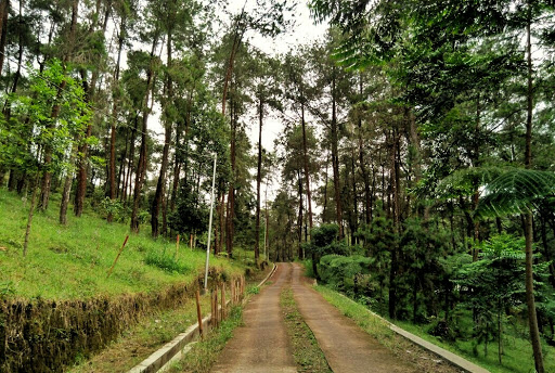 Taman Hutan Rakyat Ngargoyoso, 1. Grojogan Sewu Tawangmangu, 2. Pandawa Water World Solo Baru, 3. Taman Balekambang, 4. Keraton Surakarta, 5. Wisata Tugu Lilin di Solo , 6. Air Terjun Jumog, 7. Taman Sriwedari, 8. Kampoeng Batik Kauman, 9. Pasar Klewer, 10. Tempat Wisata di Solo – Museum Manusia Purba Sangiran, 11. Tempat Wisata di Solo – Pura Mangkunegaran, 12. Monumen Pers, 13. Galabo Solo, 14. Tempat Wisata di Solo – Kebun Binatang Taru Jurug, 15. Ngarsopuro Night Market Solo, 16. Alun-Alun Kidul Surakarta, 17. Tempat Wisata di Solo – Dalem Kalitan, 18. Tempat Wisata di Solo – Taman Cerdas, 19. Masjid Al-Wustho Mangkunegaran, 20. Bendungan Karet Tirtonadi, 21. The Heritage Palace, 22. Lokananta Recording Audio & Video Cassette, 23. Trans Studio Mini Solo, 24. Museum Batik Danar Hadi, 25. Loji Gandrung, 26. Museum Radya Pustaka, 27. Pasar Antik Triwindu, 28. Benteng Vastenburg Fort, 29. Agrowisata Amanah, Karanganyar, 30. Agrowisata Sondokoro, Karanganyar, 31. Bukit Hope, Karanganyar (Tutup), 32. Bumi Perkemahan Sekipan, Karanganyar, 33. Candi Cetho, Karanganyar, 34. Candi Sukuh, Karanganyar, 35. Edupark Intan Pari, Karanganyar, 36. Kebun Strawberry, Karanganyar, 37. Paralayang Segoro Gunung, Karanganyar, 38. Rumah Pohon Banyu Anyep (Tutup), 39. Taman Bintang Kemuning, Ngargoyoso, Karanganyar, 40. Telaga Madirda, Karanganyar, 41. Bukit Cumbri, Wonogiri, 42. Gantole Wonogiri, 43. Batu Seribu, Sukoharjo, 44. Bendungan Colo, Sukoharjo, 45. Gardu Pandang Bukit Batur Suroteleng, 46. Bukit Gancik, 47. Tretes Taman Tani (Tutup), 48. De Tjolomadoe, 49. Rumah Atsiri Indonesia, 50. Pantai Karang Payung, 51. Tumurun Private Museum, 52. River Moon Pusur, 53. Museum R Hamong Wardoyo, 54. Sepur Kluthuk Jaladara, 55. Koridor Singosaren, 56. Ndalem Gondosuli, 57. Grojogan Selondo, 58. Taman Hutan Rakyat Ngargoyoso, 59. Candi Plaosan, 60. Umbul Ponggok, 61. Umbul Cokro Tulung, 62. Omah Jungkir, 63. Telaga Biru, 64. Randubang, 65. Pasar Gede Hardjonagoro, 66. Solo Grand Mall, 67. Pusat Grosir Solo, 68. Taman Bunga Bono, Klaten, 69. Umbul Kapilaler, Klaten, 70. Bukit Gancik, Selo, Boyolali, 71. Lembah Gunung Madu, Boyolali, 72. Objek Wisata Tlatar, Boyolali, 73. Obyek Wisata Air Cokro, 74. Museum Samanhudi, 75. Air Terjun Parang Ijo, 76. Museum Keris, 77. Vihara Dhamma Sundara
