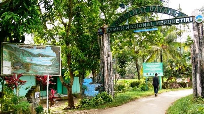 Taman Nasional Meru Betiri, 1. Tempat Wisata Pantai Pasir Putih Malikan (Papuma) Jember, 2. Tempat Wisata Pantai Watu Ulo Jember, 3. Tempat Wisata Keluarga Pantai Bandealit di Jember, 4. Tempat Wisata Pantai Puger di Jember, 5. Obyek Wisata Keluarga Tiara Waterpark di Jember, 6. Objek Wisata Keluarga Pemandian Kebon Agung di Jember, 7. Tempat Wisata Edukasi Taman Botani Jember, 8. Wahana Liburan Seru Waterboom Niagara di Jember, 9. Destinasi Wisata Populer Kawasan Puncak Rembangan di Jember, 10. Tempat Wisata Alam Air Terjun Tancak di Jember, 11. Tujuan Wisata Keluarga Pemandian Patemon di Jember, 12. Tempat Wisata Sejarah Situs Duplang di Jember, 13. Obyek Wisata Pantai Paseban di Jember, 14. Obyek Wisata Pemandian Rembangan di Jember, 15. Obyek Wisata Menarik Loko Lori di Jember, 16. Tempat Wisata Alam Air Terjun Antrokan di Jember, 17. Kafe Kolong di Jember, 18. Obyek Wisata Bedadung di Jember (Sudah Tutup), 19. Wisata ke Perkebunan Teh Gunung Gambir di Jember, 20. Obyek Wisata Pemandian Oleng Sibutong di jember, 21. Kimo Swimming Pool, 22. Air Terjun Manggisan, 23. Air Terjun Sumber Salak, 24. Pantai Payangan, 25. Pantai Rowo Cangak, 26. Pantai Teluk Love, 27. Agrowisata Tembakau, 28. Wisata Agro Glantangan, 29. Dira Park, 30. Agrowisata Mumbul Garden Jember, 31. Taman Nasional Meru Betiri, 32. Museum Tembakau Jember, 33. Pabrik Kopi Gumitir Jember, 34. Pulau Nusa Barong Jember, 35. Agrowisata Kopi dan Kakao, 36. Air Terjun Watu Ombo, 37. Air Terjun Lereng Raung, 38. Air Terjun Sumber Salak, 39. Taman Galaxy, 40. Bukit SJ 88, 41. Air Terjun Mandigu, 42. Goa Jepang