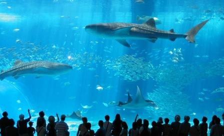  Tempat Wisata di Jepang yang Wajib Dikunjungi, Tempat Wisata di Jepang lainnya, Tempat Wisata di Hiroshima, Tempat Wisata di Osaka Jepang
