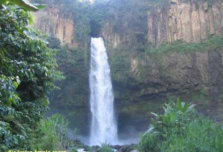 Tempat Wisata Air Terjun Kepala Curup Bengkulu, 1. Pantai Panjang, 2. Tempat Wisata Sejarah Rumah Pengasingan Bung Karno, 3. Tempat Wisata Sejarah Benteng Marlborough Bengkulu, 4. Tempat Wisata Pantai Tapak Paderi Bengkulu, 5. Berwisata ke Kota Curup Bengkulu, 6. Tempat Wisata Danau Dendam Tak Sudah Bengkulu, 7. Tempat Wisata Danau Mas Harun Bastari Bengkulu, 8. Tempat Wisata Sejarah Museum Negeri Bengkulu, 9. Tempat Wisata Alam Bukit Kaba Bengkulu, 10. Berwisata ke Pulau Tikus Bengkulu, 11. Wisata Alam Sungai Air Berau Bengkulu, 12. Wisata ke Habitat Bunga Rafflesia Arnoldii Bengkulu, 13. Tempat Wisata Pantai Teluk Sepang Bengkulu, 14. Berwisata ke Air Terjun Curup, 15. Tempat Wisata Danau Lebong di Bengkulu Tengah, 16. Tempat Wisata Air Terjun Kepala Curup Bengkulu, 17. Tempat Wisata Air Terjun Sindang Kelingi Bengkulu, 18. Tempat Wisata Kebun Teh Bukit Daun Bengkulu, 19. Tempat Wisata Pantai Lais Bengkulu, 20. Tempat Wisata Air Terjun Curug Sembilan Bengkulu, 21. Objek Wisata Danau Gedang Bengkulu, 22. Tempat Wisata pantai Jakat Bengkulu, 23. Objek Wisata Tugu Thomas Parr Bengkulu, 24. Tempat Wisata Taman Hutan Raya Bengkulu, 25. Wisata ke Pusat Makanan Khas Bengkulu, 26. Berwisata ke Kampung Tua Cina Bengkulu, 27. Tempat Wisata Sungai Air Berau Muko-Muko Bengkulu, 28. Pantai Batung Badoro Muko-Muko Bengkulu, 29. Pantai Air Rami Mukomuko Bengkulu, 30. Danau Nibung Mukomuko Bengkulu, 31. Tempat Wisata Pantai Seluma Bengkulu, 32. Air Terjun Tri Muara Karang, 33. Pantai Sungai Suci, 34. Suban Air Panas Curup, 35. Danau Biru, 36. Pantai Padang Betuah, 37. Curug Mingga, 38. Air Terjun Suban, 39. Pantai Manula, 40. Pantai Linau, 41. Goa Kacamata, 42. Lubuk Sepit Kancing, 43. Pulau Enggano, 44. Arung Jeram Sungai Ketahun, 45. Pantai Bengkenang, 46. Air Terjun Singkai