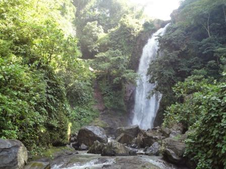 Tempat Wisata Alam Air Terjun Antrokan di Jember, 1. Tempat Wisata Pantai Pasir Putih Malikan (Papuma) Jember, 2. Tempat Wisata Pantai Watu Ulo Jember, 3. Tempat Wisata Keluarga Pantai Bandealit di Jember, 4. Tempat Wisata Pantai Puger di Jember, 5. Obyek Wisata Keluarga Tiara Waterpark di Jember, 6. Objek Wisata Keluarga Pemandian Kebon Agung di Jember, 7. Tempat Wisata Edukasi Taman Botani Jember, 8. Wahana Liburan Seru Waterboom Niagara di Jember, 9. Destinasi Wisata Populer Kawasan Puncak Rembangan di Jember, 10. Tempat Wisata Alam Air Terjun Tancak di Jember, 11. Tujuan Wisata Keluarga Pemandian Patemon di Jember, 12. Tempat Wisata Sejarah Situs Duplang di Jember, 13. Obyek Wisata Pantai Paseban di Jember, 14. Obyek Wisata Pemandian Rembangan di Jember, 15. Obyek Wisata Menarik Loko Lori di Jember, 16. Tempat Wisata Alam Air Terjun Antrokan di Jember, 17. Kafe Kolong di Jember, 18. Obyek Wisata Bedadung di Jember (Sudah Tutup), 19. Wisata ke Perkebunan Teh Gunung Gambir di Jember, 20. Obyek Wisata Pemandian Oleng Sibutong di jember, 21. Kimo Swimming Pool, 22. Air Terjun Manggisan, 23. Air Terjun Sumber Salak, 24. Pantai Payangan, 25. Pantai Rowo Cangak, 26. Pantai Teluk Love, 27. Agrowisata Tembakau, 28. Wisata Agro Glantangan, 29. Dira Park, 30. Agrowisata Mumbul Garden Jember, 31. Taman Nasional Meru Betiri, 32. Museum Tembakau Jember, 33. Pabrik Kopi Gumitir Jember, 34. Pulau Nusa Barong Jember, 35. Agrowisata Kopi dan Kakao, 36. Air Terjun Watu Ombo, 37. Air Terjun Lereng Raung, 38. Air Terjun Sumber Salak, 39. Taman Galaxy, 40. Bukit SJ 88, 41. Air Terjun Mandigu, 42. Goa Jepang