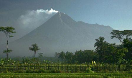 Tempat Wisata Alam Gunung Tanjung Tegal, 1. Pemandian Air Panas Guci, 2. Pantai Purwahamba Indah, 3. Tirta Waduk Cacaban , 4. Agro Wisata Loco Antik , 5. Curug Cantel Bumijawa, 6. Curug Putri , 7. Pantai Alam Indah, 8. Bahari Waterpark Tegal, 9. Wana Wisata Clirit View, 10. Rita Park, 11. Alun-alun Kota Tegal, 12. Taman Rakyat Slawi Ayu, 13. Guci Forest, 14. Sulaku Bumijawa Park, 15. Taman Anggrek Tuwel Guci, 16. Guciku Hot Waterboom, 17. The Baron Hill of Guci, 18. Waterboom Yogya, 19. Konsorsium Rumah Wayang, 20. Bukit Goa Lawa atau Bukit Batu Agung, 21. Danau Beko Margasari, 22. Jembatan Gantung Danawarih, 23. Kawasan Konservasi Karang Jeruk, 24. Wisata Kesehatan Jamu (WKJ) Kalibakung, 25. Monumen Bahari, 26. Curug Pitu Margasari, 27. Situs Manusia Purba Semedo, 28. Pantai Muarareja Indah, 29. Taman Poci, 30. Curug Jejeg, 31. Curug Luhur, 32. Curug Kembar, 33. Kolam Renang Samudra Slawi, 34. Bukit Rangkok Pagerwangi, 35. Kebun Melati Maribaya, 36. Curug Penganten, 37. Pacific Mall, 38. Bukit Bintang Guci, 39. Curug Sentul Cawitali, 40. Curug Jedor Guci, 41. Curug Longan, 42. Kolam Renang Hj. Muriyah Slawi, 43. Telaga Air Cempaka, 44. Gunung Tanjung