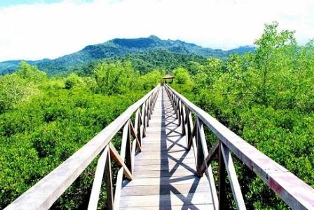 Tempat Wisata Alam Hutan Bakau Margomulyo Balikpapan