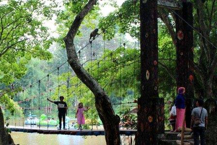 Tempat Wisata Alam Hutan Punti Kayu di Palembang, 1. Obyek Wisata Jembatan Ampera dan Sungai Musi di Palembang, 2. Tempat Wisata Religi Masjid Cheng Hoo Palembang, 3. Obyek Wisata Bukit Siguntang di Palembang, 4. Tempat Wisata Sejarah Museum Sultan Mahmud Badaruddin II Palembang, 5. Tempat Wisata Sejarah Benteng Kuto Besak di Palembang, 6. Wisata Religi Masjid Agung Sultan Mahmud Badaruddin I Palembang, 7. Objek Wisata Gedung Kantor Walikota Palembang, 8. Tempat Wisata Keluarga Kembang Iwak Family Park di Palembang, 9. Tempat Wisata Alam Hutan Punti Kayu di Palembang, 10. Tempat Wisata Sejarah Taman Purbakala Kerajaan Sriwijaya di Palembang, 11. Tempat Wisata Kuliner Kampung Kapitan di Palembang, 12. Objek Wisata Monumen perjuangan rakyat Palembang, 13. Obyek Wisata Pulau Kemaro di Palembang, 14. Tempat Wisata Alam Air Terjun Lematang Indah , 15. Obyek Wisata Gunung Dempo, 16. Tempat Wisata Alam Air Terjun Bidadari di Lahat, 17. Obyek Wisata Alam Air Terjun Maung (Curup Maung), 18. Tempat Wisata Kuliner Terkenal Martabak HAR di Palembang, 19. Tempat Wisata Kuliner Pempek Candy di Palembang, 20. Tempat Wisata Kuliner Pempek SAGA di Palembang, 21. Arung Jeram Sungai Manna, 22. Waterboom OPI Jakabaring, 23. The Amanzi Waterpark CitraGrand City, 24. Fantasy Island Palembang, 25. Danau Ranau, 26. Kolam Renang Lumban Tirta, 27. Museum Negeri Balaputra Dewa, 28. Kampung Arab Palembang, 29. Rumah Rakit Sungai Musi, 30. Palembang Bird Park, 31. Pelabuhan Tanjung Api-Api, 32. Masjid Lawang Kidul, 33. Tangga 2001, 34. Tugu Belido, 35. Kopi Roda, 36. Bayt Al-Quran Raksasa, 37. Sungai Gerong, 38. Goa Putri, 39. Sekanak Sidewalk, 40. Danau OPI, 41. Museum Tekstil Palembang, 42. Waterpark Danau Tanah Mas, 43. Taman Pelangi, 44. Bukit Golf, 45. Klenteng Chandra Nadi, 46. G Art Studio, 47. Pulau Maspari, 48. Gelora Sriwijaya, 49. Warung Apung Sungai Musi, 50. Air Terjun Kematang Indah, 51. Kebun Teh Dempo