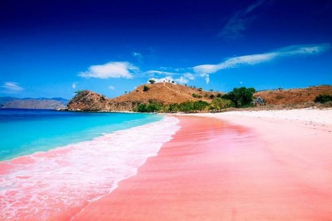Tempat Wisata Pantai Pink di Lombok via IG @erlin_dhita, 1. Gunung Rinjani Lombok, 2. Wisata Pantai Kuta Lombok, 3. Wisata Desert Point (Bangko-Bangko) Lombok, 4. Gili Kondo, 5. Wisata Pantai Senggigi Lombok, 6. Wisata Gili Air, Gili Meno, dan Gili Trawangan di Lombok, 7. Pantai Tanjung Aan, 8.  Pantai Tanjung Bloam, 9. Tempat Wisata Pantai Selong Belanak Lombok, 10. Sade Village, 11. Pantai Sekotong , 12. Air Terjun Sandang Gile , 13. Gili Nanggu Lombok, 14. Objek Wisata Batu Bolong, 15. Objek Wisata Batu Layar , 16. Narmada Park, 17. Pink Beach Lombok, 18. Gili Lampu Lombok Timur, 19. Bukit Malimbu , 20. Gili Kedis, 21. Lingkoq Datu, Pantai Penyisok, 22. Bukit Pergasingan, 23. Pantai Semeti, 24. Air Terjun Mangku Sakti, 25. Air Terjun Benang Kelambu, 26. Air Terjun Tiu Kelep, 27. Tanjung Poki, 28. Pantai Nambung, 29. Taman Wisata Alam Gunung Tunak, Pemandangan Samudera di atas Bukit Hijau, 30. Rinjani Lodge, 31. Pantai Tebing, 32. Sumber Air Panas Aik Kalak, 33. Danau Segara Anak, 34. Pantai Mawun Lombok, 35. Pantai Seger, 36. Pantai Surga, 37. Tanjung Ringgit, 38. Gili Sulat dan Gili Lawang, 39. Pantai Sire, 40. Air Terjun Penimbungan: Surga Tersembunyi di Torean, 41. Jembatan Gantung Kuno: Peninggalan Jaman Penjajahan Belanda yang berumur 84 Tahun, 42. Taman Wisata Pusuk Sembalun: Mengagumi Pemandangan Gunung Rinjani yang Megah, 43. Pantai Setangi: Villa Hantu yang Mendebarkan, 44. Batu Payung, Tanjung Aan: Monumen Alam yang Berdiri Kokoh di Tepi Pantai, 45. Bau Nyale: Tempat Perayaan Festival Legendaris, 46. Desa Bayan Sasak: Menyelami Kehidupan 5000 tahun SM, 47. Ashtari Lounge and Kitchen: Menyantap Makanan di Puncak Bukit, 48. Artati Lombok Bungalow and Restaurant , 49. Bertenun Tradisional di Desa Sukarara, 50. Bask Nest: Menjelajahi Dunia Bawah Laut yang Artistik, 51. Gua Bangkang: Suasana Dramatis di Tepi Pantai