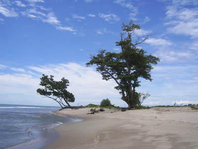 Tempat Wisata Pantai Teluk Sepang Bengkulu, 1. Pantai Panjang, 2. Tempat Wisata Sejarah Rumah Pengasingan Bung Karno, 3. Tempat Wisata Sejarah Benteng Marlborough Bengkulu, 4. Tempat Wisata Pantai Tapak Paderi Bengkulu, 5. Berwisata ke Kota Curup Bengkulu, 6. Tempat Wisata Danau Dendam Tak Sudah Bengkulu, 7. Tempat Wisata Danau Mas Harun Bastari Bengkulu, 8. Tempat Wisata Sejarah Museum Negeri Bengkulu, 9. Tempat Wisata Alam Bukit Kaba Bengkulu, 10. Berwisata ke Pulau Tikus Bengkulu, 11. Wisata Alam Sungai Air Berau Bengkulu, 12. Wisata ke Habitat Bunga Rafflesia Arnoldii Bengkulu, 13. Tempat Wisata Pantai Teluk Sepang Bengkulu, 14. Berwisata ke Air Terjun Curup, 15. Tempat Wisata Danau Lebong di Bengkulu Tengah, 16. Tempat Wisata Air Terjun Kepala Curup Bengkulu, 17. Tempat Wisata Air Terjun Sindang Kelingi Bengkulu, 18. Tempat Wisata Kebun Teh Bukit Daun Bengkulu, 19. Tempat Wisata Pantai Lais Bengkulu, 20. Tempat Wisata Air Terjun Curug Sembilan Bengkulu, 21. Objek Wisata Danau Gedang Bengkulu, 22. Tempat Wisata pantai Jakat Bengkulu, 23. Objek Wisata Tugu Thomas Parr Bengkulu, 24. Tempat Wisata Taman Hutan Raya Bengkulu, 25. Wisata ke Pusat Makanan Khas Bengkulu, 26. Berwisata ke Kampung Tua Cina Bengkulu, 27. Tempat Wisata Sungai Air Berau Muko-Muko Bengkulu, 28. Pantai Batung Badoro Muko-Muko Bengkulu, 29. Pantai Air Rami Mukomuko Bengkulu, 30. Danau Nibung Mukomuko Bengkulu, 31. Tempat Wisata Pantai Seluma Bengkulu, 32. Air Terjun Tri Muara Karang, 33. Pantai Sungai Suci, 34. Suban Air Panas Curup, 35. Danau Biru, 36. Pantai Padang Betuah, 37. Curug Mingga, 38. Air Terjun Suban, 39. Pantai Manula, 40. Pantai Linau, 41. Goa Kacamata, 42. Lubuk Sepit Kancing, 43. Pulau Enggano, 44. Arung Jeram Sungai Ketahun, 45. Pantai Bengkenang, 46. Air Terjun Singkai