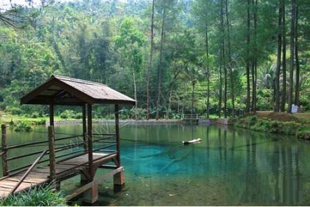 Wisata Petilasan Rambut Monte, 1. Kampung Coklat, 2. Taman Kebon Rojo, 3. Pantai Tambakrejo, 4. Pantai Pangi, 5. Perkebunan Teh Sirah Kencong, 6. Pantai Serang, 7. Blitar Park, 8. Petilasan Rambut Monte, 9. Candi Penataran, 10. Pantai Peh Pulo, 11. Goa Embultuk, 12. Candi Gambar Wetan, 13. Situs Arca Warak, 14. Candi Kotes, 15. Candi Sawentar, 16. Makam Bung Karno, 17. Istana Gebang, 18. Water Park Sumberudel, 19. Desa Wisata Semen, 20. Wisata Sejarah Monumen Trisula, 21. Penangkaran Rusa Maliran, 22. Agrowisata Karangsari Blitar, 23. Gunung Butak, 24. Pantai Gondo Mayit, 25. Air Terjun Coban Wilis, 26. Air Terjun Sirah Kencong, 27. Air Terjun Grenjeng, 28. Air Terjun Jurug Bening , 29. Objek Wisata Alam Pacuh, 30. Pantai Umbul Waru, 31. Curug dan Kedung Badrun, 32. Air Terjun Lawean, 33. Pantai Jolosutro, 34. Arung Jeram Soko Adventure Blitar, 35. Goa Maria Sendang Rejo, 36. Gardu Pandang Perkebunan Gambar, 37. Omah Djadoel, 38. Gunung Kelud, 39. Air Terjun Kedung Entong, 40.  Air Terjun Tirto Galuh, 41. Taman Jurug Goa Luweng Prodo, 42. Bukit Teletubies Blitar, 43. Hutan Pinus Gogoniti, 44. Kampung Afrika Blitar, 45. Gunung Butak, 46. Pantai Pasur, 47. Pantai Serit, 48. Monumen PETA, 49. Wisata Alam Paco, 50. Bendungan Serut, 51. Arca Gamprang, 52. Candi Simping, 53. Jurug Moncar, 54. Candi Mleri, 55. Candi Kalicilik, 56. Alun-alun Blitar, 57. Blitar Green Park, 58. Taman Pecut, 59. Fish Garden Blitar, 60. Kaloka Lodoyo, 61. Pemandian Sumur Amber Kandangan, 62. Bendungan Wlingi Raya, 63. Taman Idaman Hati Wlingi Blitar, 64. Villa Puncak Pesanggrahan Tambakrejo
