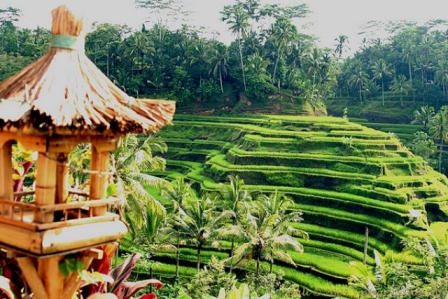 Profil Pulau Bali Menjadi Pulau Dewata, Pesona Pulau Bali yang Mendunia, Destinasi Wisata Pulau Bali yang Populer, Patung Garuda Wisnu Kencana Bali, Harga Tiket GWK, Lokasi Patung Garuda Wisnu Kencana, Rute Menuju Lokasi Patung GWK, Keistimewaan Patung Garuda Wisnu Kencana, Jadwal Event di GWK
