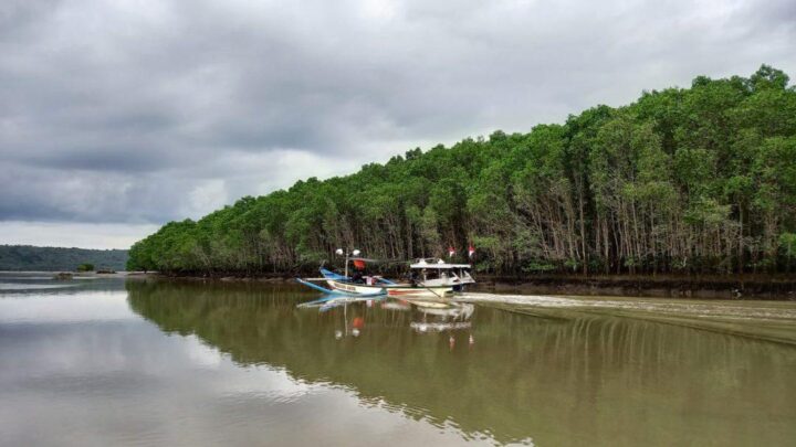 Teluk Pangpang via Radioidola