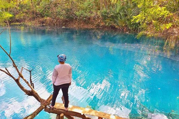 1. Tempat Wisata di puncak – Curug Panjang, 2. Tempat Wisata di puncak – Taman Wisata Matahari, 3. Tempat Wisata di puncak – Taman Riung Gunung, 4. Tempat Wisata di puncak – Curug Cilember, 5. Tempat Wisata di puncak – Telaga Warna, 6. Tempat Wisata di puncak – Desa Wisata Pancawati, 7. Tempat Wisata di puncak – Curug Kembar, 8. Tempat Wisata di puncak – Taman Safari, 9. Tempat Wisata di puncak – Curug Cibeureum, 10. Tempat Wisata di puncak – Istana Presiden Cipanas, 11. Tempat Wisata di puncak – Melrimba Garden, 12. Tempat Wisata di puncak – Kebun Wisata Inkarla, 13. Taman Nasional Gunung Gede Pangrango, 14. Tempat Wisata di puncak – Agro Wisata Gunung Mas, 15. Tempat Wisata di puncak – Wisata Citamiang, 16. Little Venice Kota Bunga, 17. Tempat Wisata di puncak – Seruni Tematik Hotel, 18. Pusat Pendidikan Konservasi Alam Bodogol, 19. Tempat Wisata di Puncak – Taman Rekreasi Lido, 21. Wisata Desa Kampung Bambu Puncak Bogor, 22. Warso Farm Puncak Bogor, 23. Taman Wisata Air Panas Tirta Sanita Ciseeng, 24. Cimory Riverside, 25. Pondok Rasamala, 26. Kebun Raya Cibodas, 27. Penangkaran Rusa Giri Jaya Cariu, 28. Bukit Gantole Puncak, 29. Curug Hordeng, 30. Bukit Alesano, 31. Leuwi Lieuk, 32. Gunung Pancar, 33. Taman Bunga Nusantara, 34. Curug Cibaliung, 35. Telaga Biru Cipanas, 36. Menginap di Puncak Pass Resort dengan View Pemandangan yang Indah, 37. Wisata Religi di Masjid At-Ta’awun