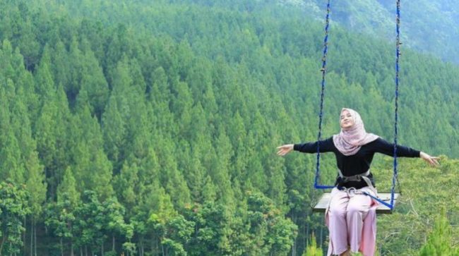 The Lodge Maribaya