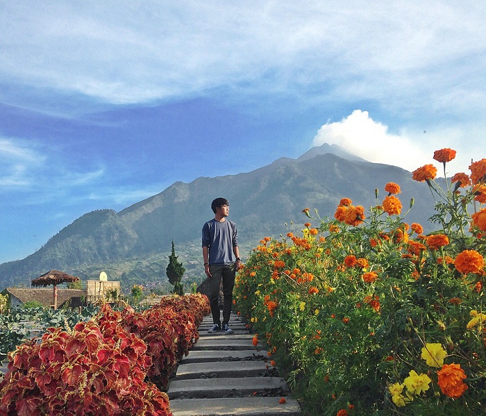 Tretes Taman Tani, 1. Grojogan Sewu Tawangmangu, 2. Pandawa Water World Solo Baru, 3. Taman Balekambang, 4. Keraton Surakarta, 5. Wisata Tugu Lilin di Solo , 6. Air Terjun Jumog, 7. Taman Sriwedari, 8. Kampoeng Batik Kauman, 9. Pasar Klewer, 10. Tempat Wisata di Solo – Museum Manusia Purba Sangiran, 11. Tempat Wisata di Solo – Pura Mangkunegaran, 12. Monumen Pers, 13. Galabo Solo, 14. Tempat Wisata di Solo – Kebun Binatang Taru Jurug, 15. Ngarsopuro Night Market Solo, 16. Alun-Alun Kidul Surakarta, 17. Tempat Wisata di Solo – Dalem Kalitan, 18. Tempat Wisata di Solo – Taman Cerdas, 19. Masjid Al-Wustho Mangkunegaran, 20. Bendungan Karet Tirtonadi, 21. The Heritage Palace, 22. Lokananta Recording Audio & Video Cassette, 23. Trans Studio Mini Solo, 24. Museum Batik Danar Hadi, 25. Loji Gandrung, 26. Museum Radya Pustaka, 27. Pasar Antik Triwindu, 28. Benteng Vastenburg Fort, 29. Agrowisata Amanah, Karanganyar, 30. Agrowisata Sondokoro, Karanganyar, 31. Bukit Hope, Karanganyar (Tutup), 32. Bumi Perkemahan Sekipan, Karanganyar, 33. Candi Cetho, Karanganyar, 34. Candi Sukuh, Karanganyar, 35. Edupark Intan Pari, Karanganyar, 36. Kebun Strawberry, Karanganyar, 37. Paralayang Segoro Gunung, Karanganyar, 38. Rumah Pohon Banyu Anyep (Tutup), 39. Taman Bintang Kemuning, Ngargoyoso, Karanganyar, 40. Telaga Madirda, Karanganyar, 41. Bukit Cumbri, Wonogiri, 42. Gantole Wonogiri, 43. Batu Seribu, Sukoharjo, 44. Bendungan Colo, Sukoharjo, 45. Gardu Pandang Bukit Batur Suroteleng, 46. Bukit Gancik, 47. Tretes Taman Tani (Tutup), 48. De Tjolomadoe, 49. Rumah Atsiri Indonesia, 50. Pantai Karang Payung, 51. Tumurun Private Museum, 52. River Moon Pusur, 53. Museum R Hamong Wardoyo, 54. Sepur Kluthuk Jaladara, 55. Koridor Singosaren, 56. Ndalem Gondosuli, 57. Grojogan Selondo, 58. Taman Hutan Rakyat Ngargoyoso, 59. Candi Plaosan, 60. Umbul Ponggok, 61. Umbul Cokro Tulung, 62. Omah Jungkir, 63. Telaga Biru, 64. Randubang, 65. Pasar Gede Hardjonagoro, 66. Solo Grand Mall, 67. Pusat Grosir Solo, 68. Taman Bunga Bono, Klaten, 69. Umbul Kapilaler, Klaten, 70. Bukit Gancik, Selo, Boyolali, 71. Lembah Gunung Madu, Boyolali, 72. Objek Wisata Tlatar, Boyolali, 73. Obyek Wisata Air Cokro, 74. Museum Samanhudi, 75. Air Terjun Parang Ijo, 76. Museum Keris, 77. Vihara Dhamma Sundara
